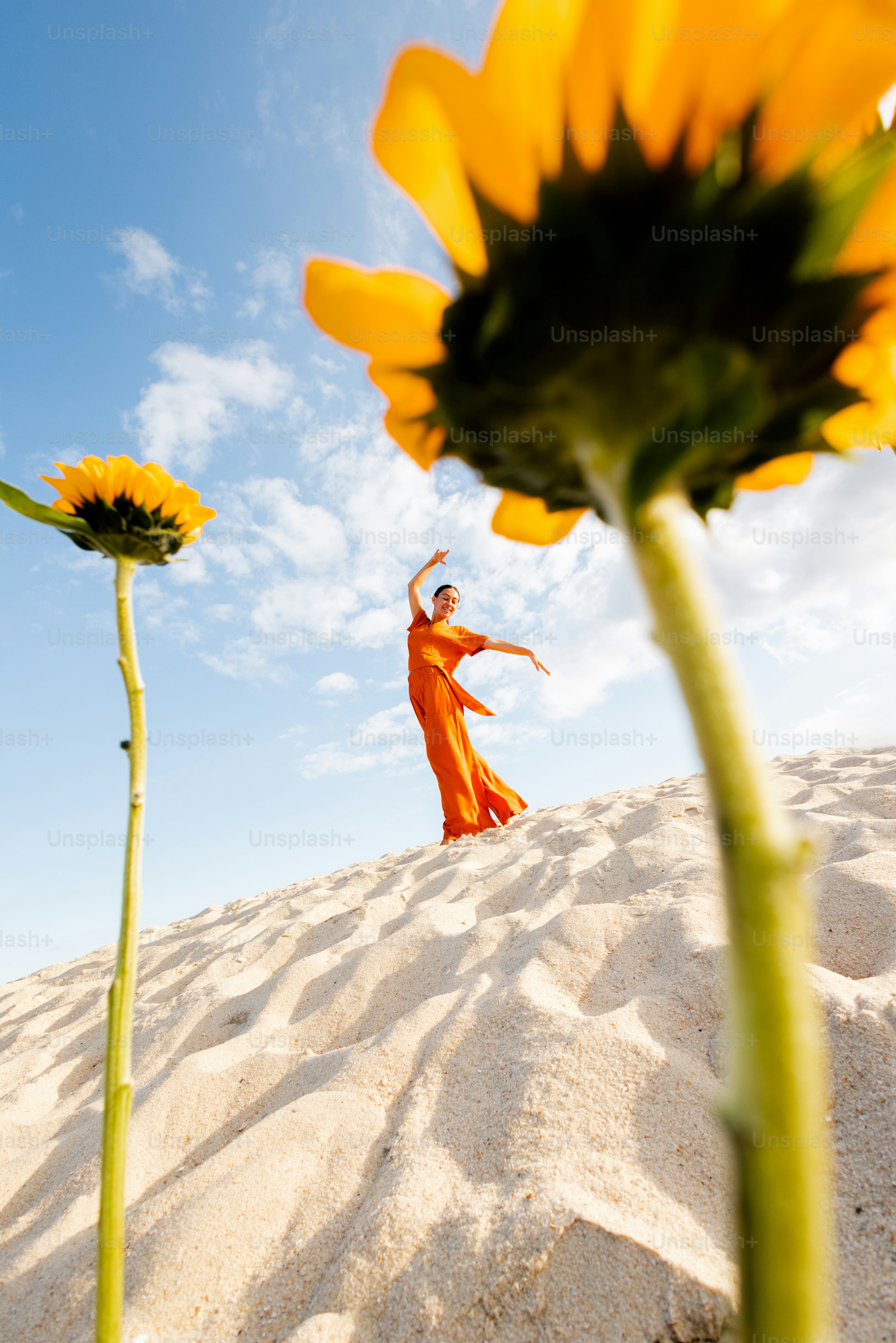 Femme en robe orange pose au milieu des tournesols.