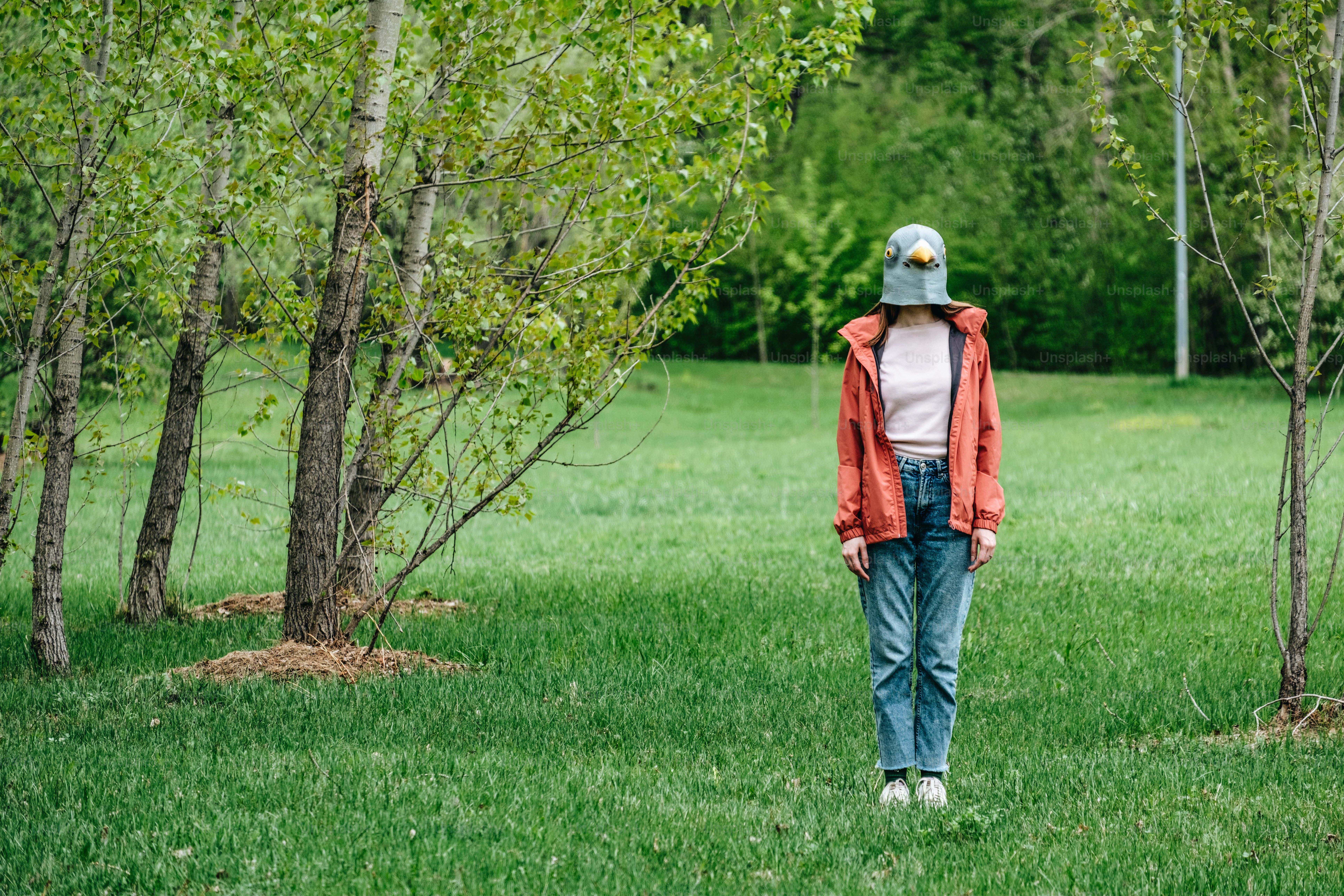 Una persona está de pie en silencio en un parque cubierto de hierba.