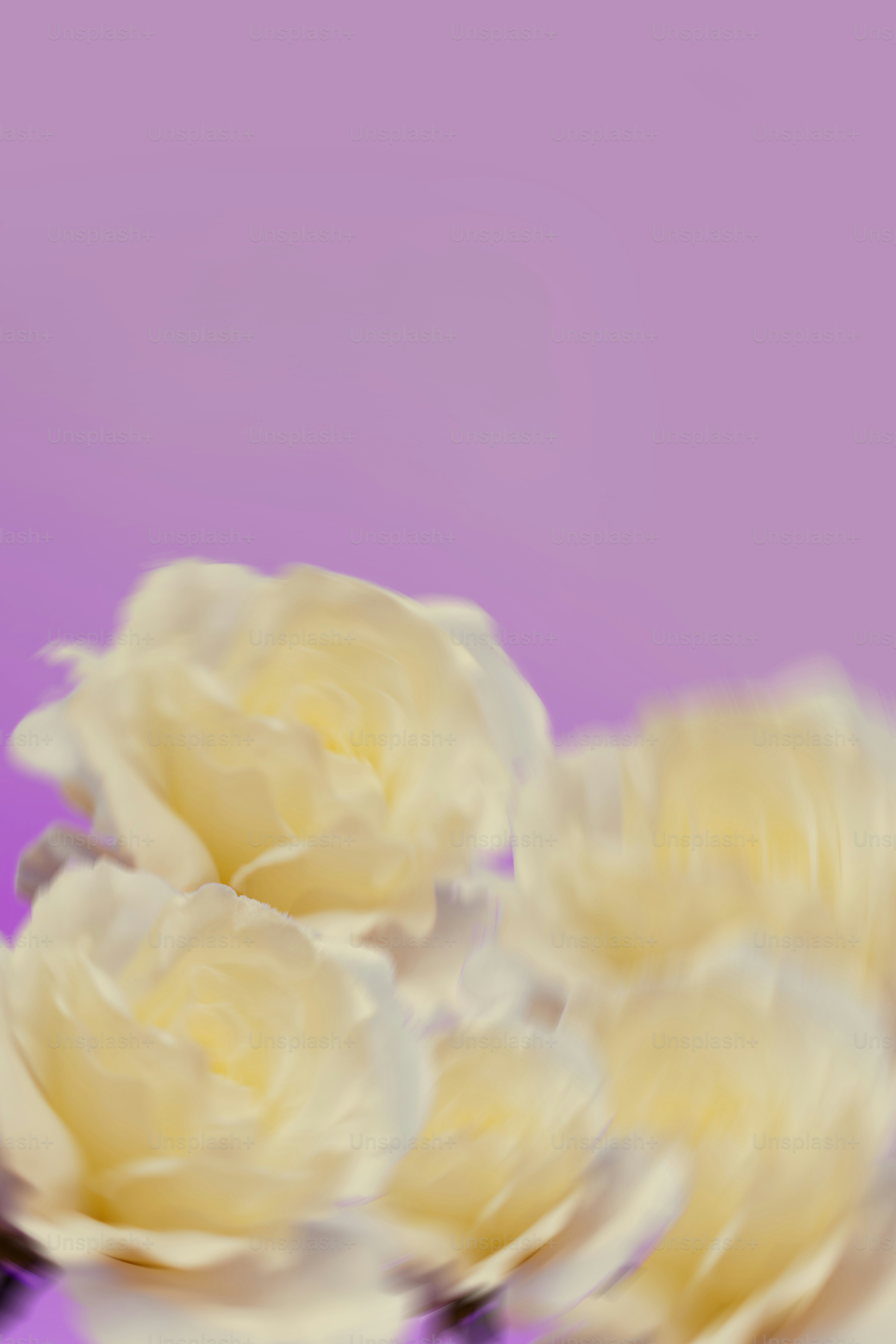 밝은 배경에 흐릿한 꽃. 사진 – Unsplash의 배경 이미지, image size:3000x4500