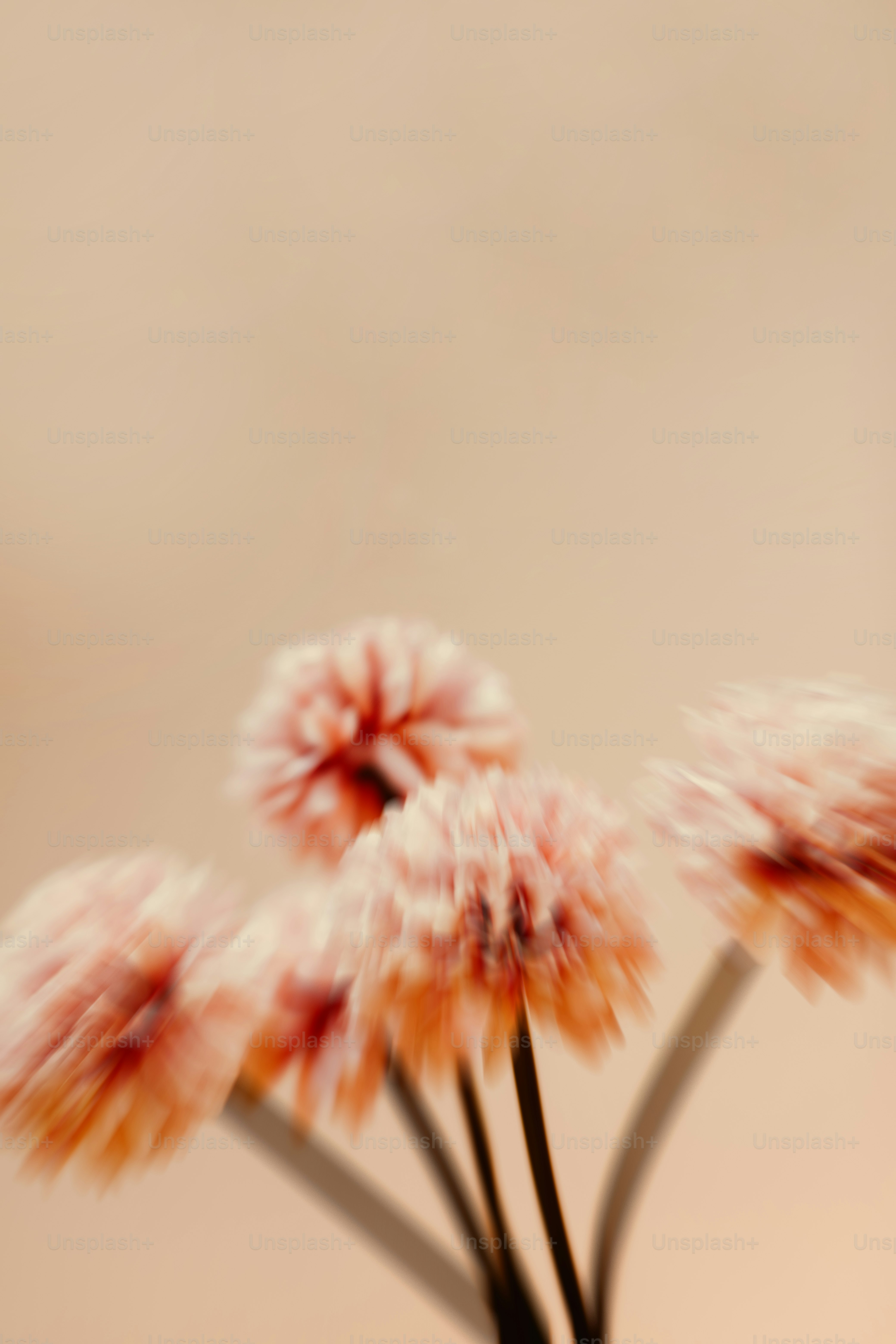 Flores borrosas sobre un fondo claro.