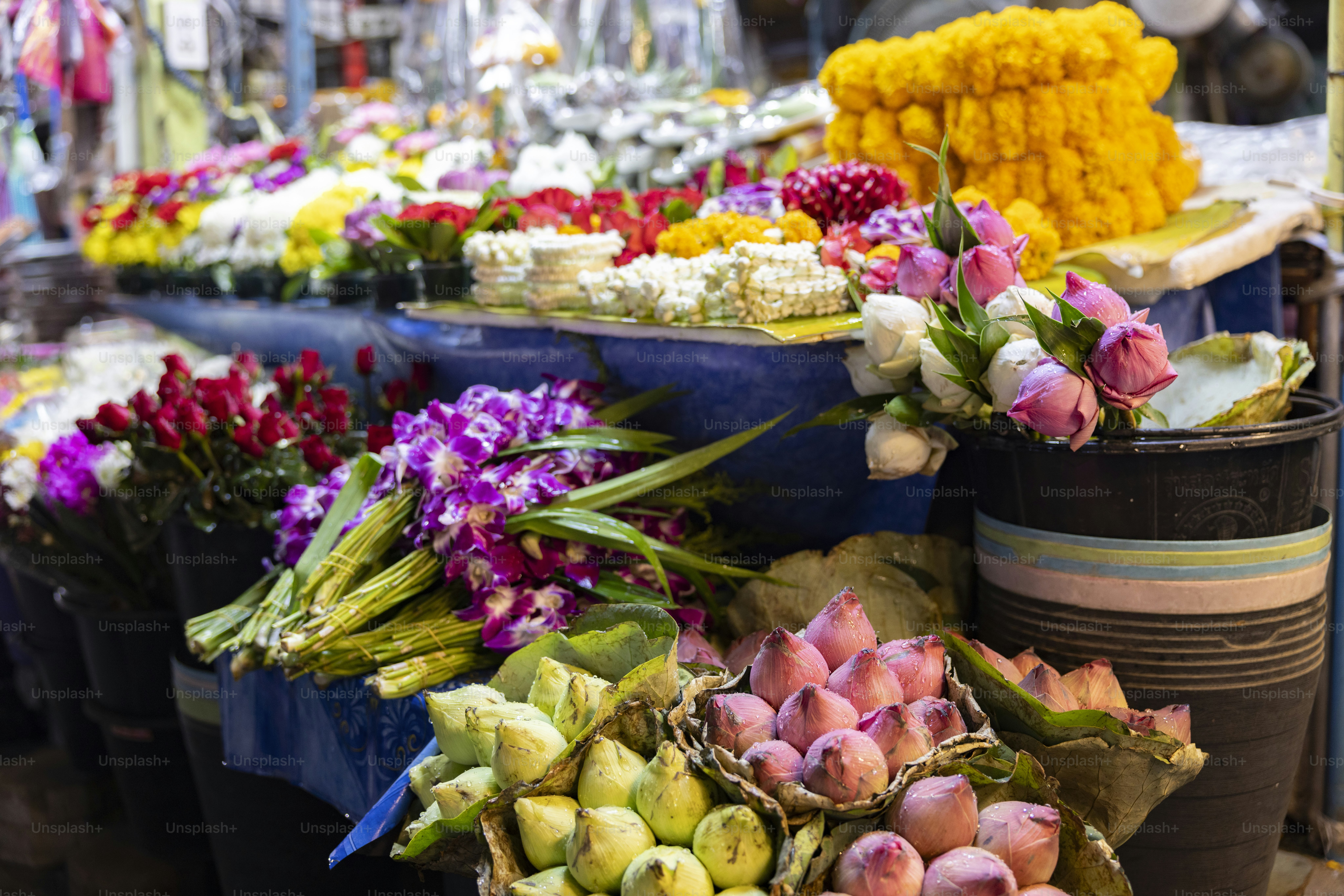 Beautiful and colorful flowers are displayed for sale.
