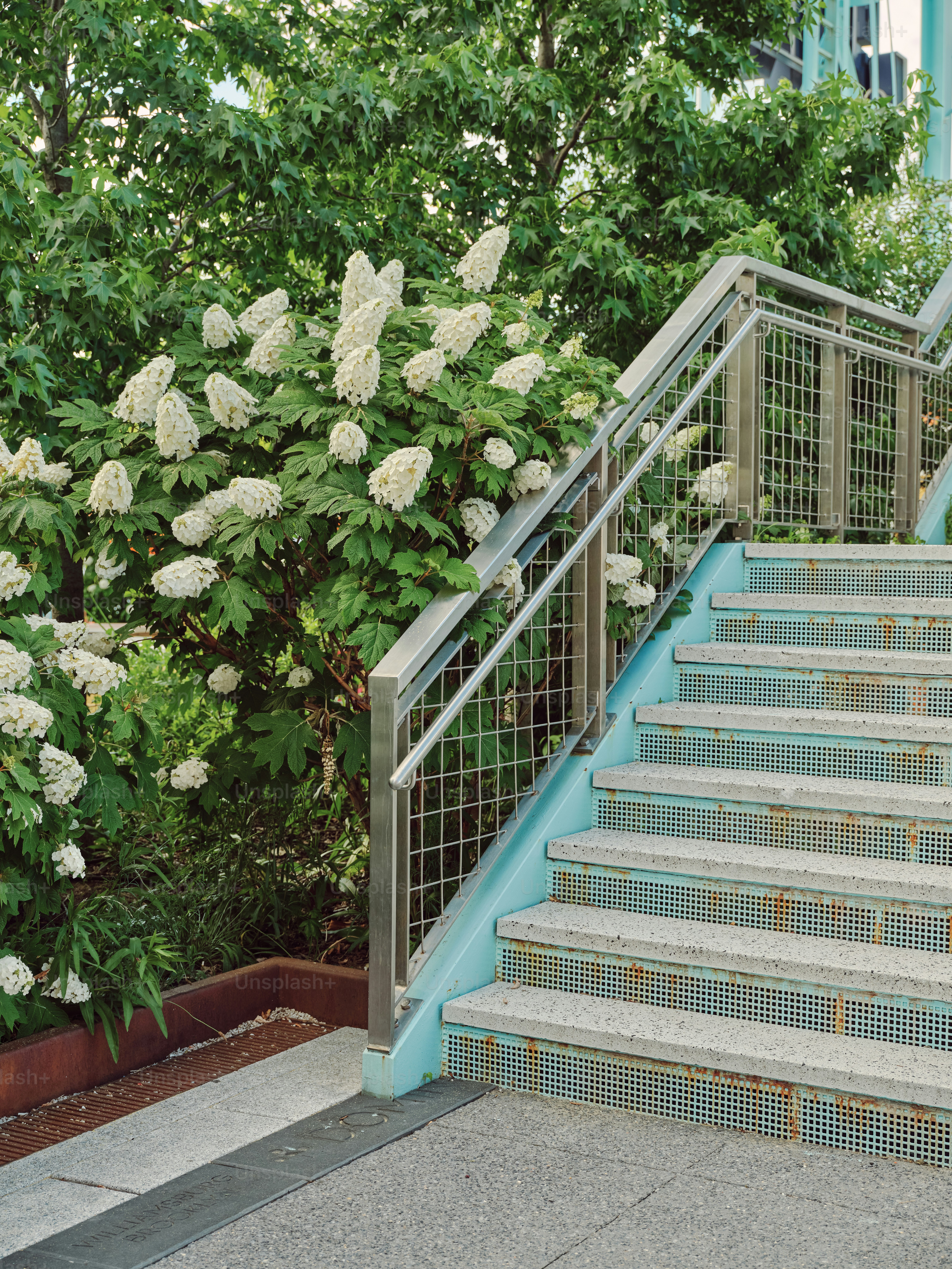 Treppe mit Blumen, die daneben wachsen