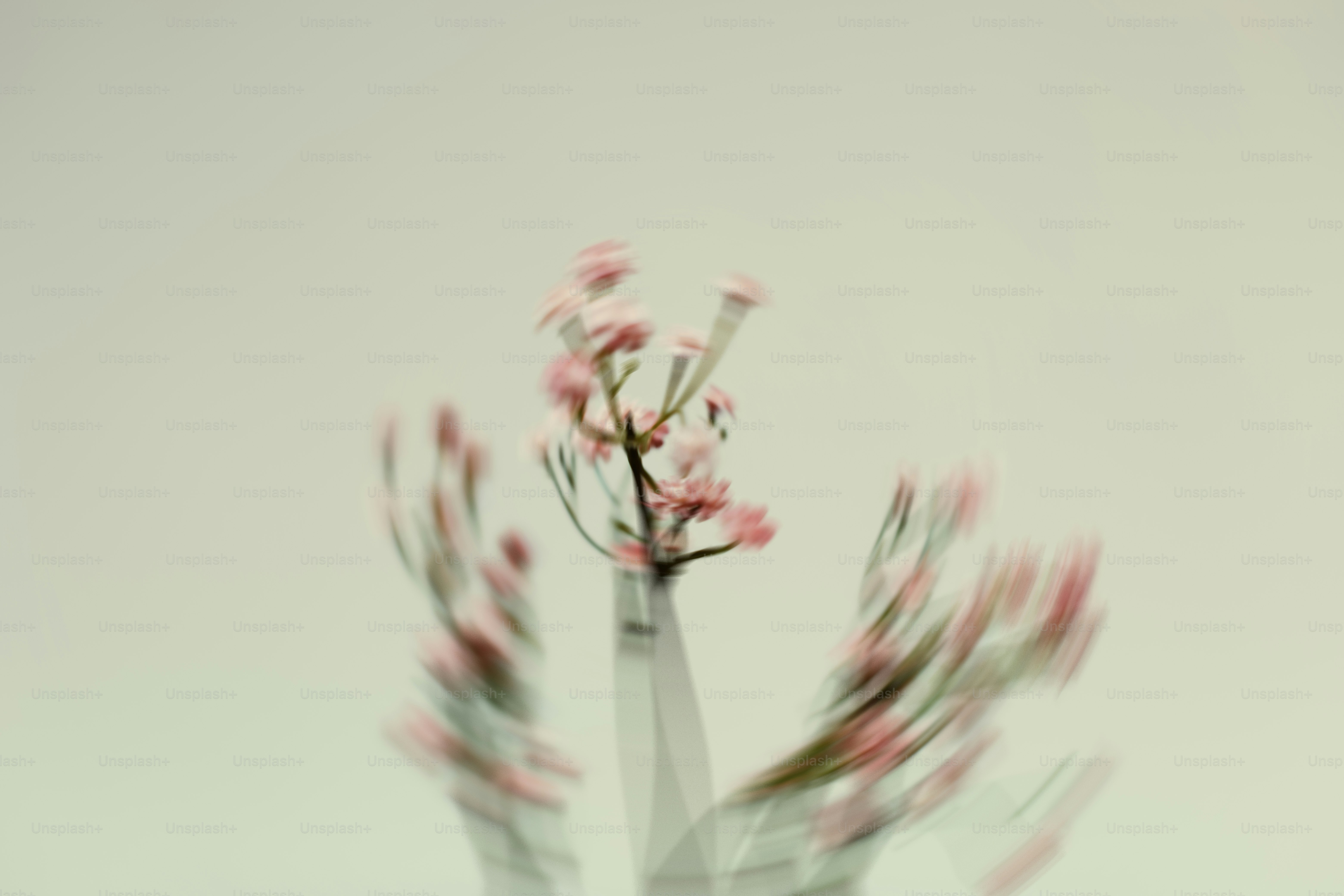 As flores borram contra um fundo claro.