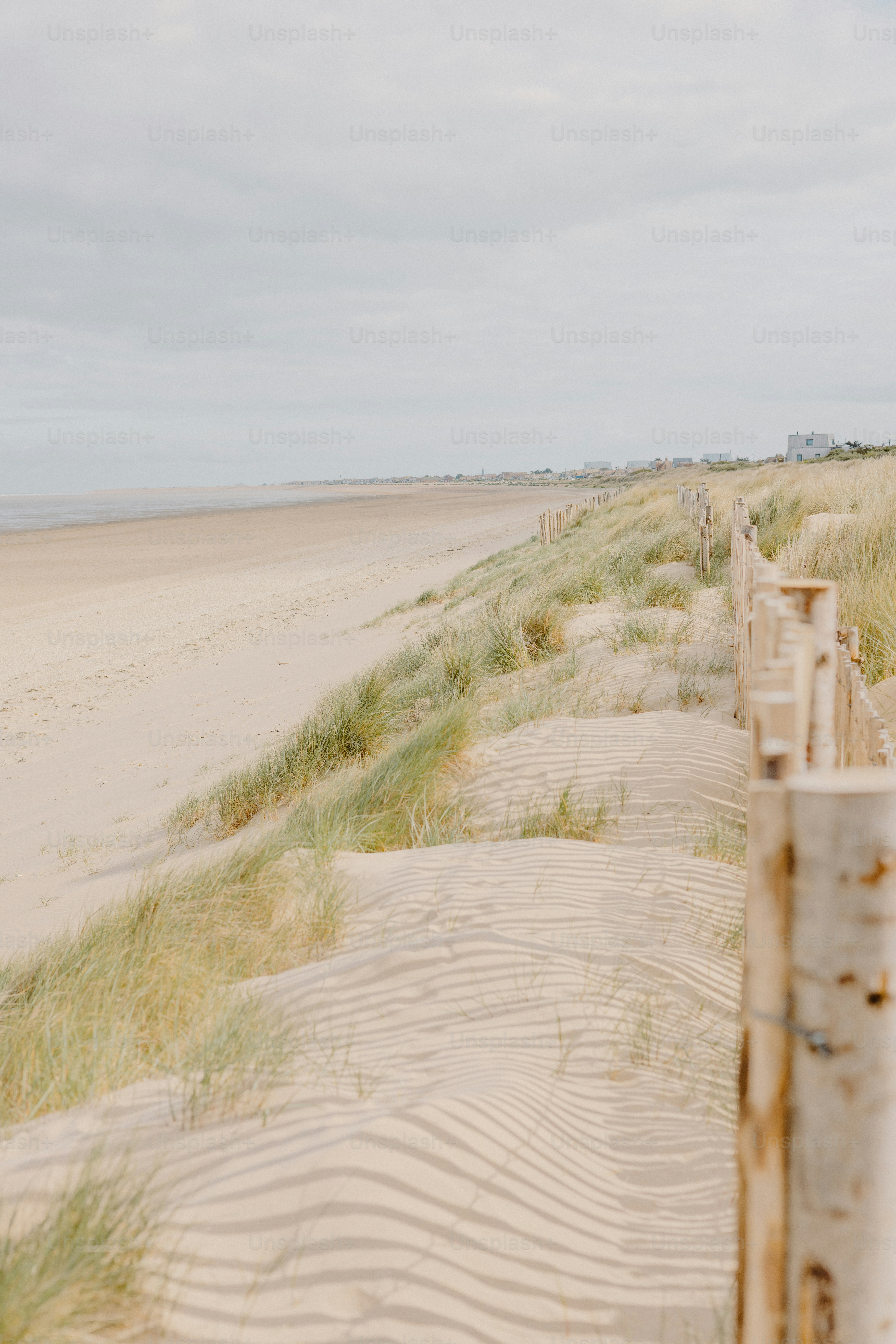 A sandy beach with dunes and a wooden fence.