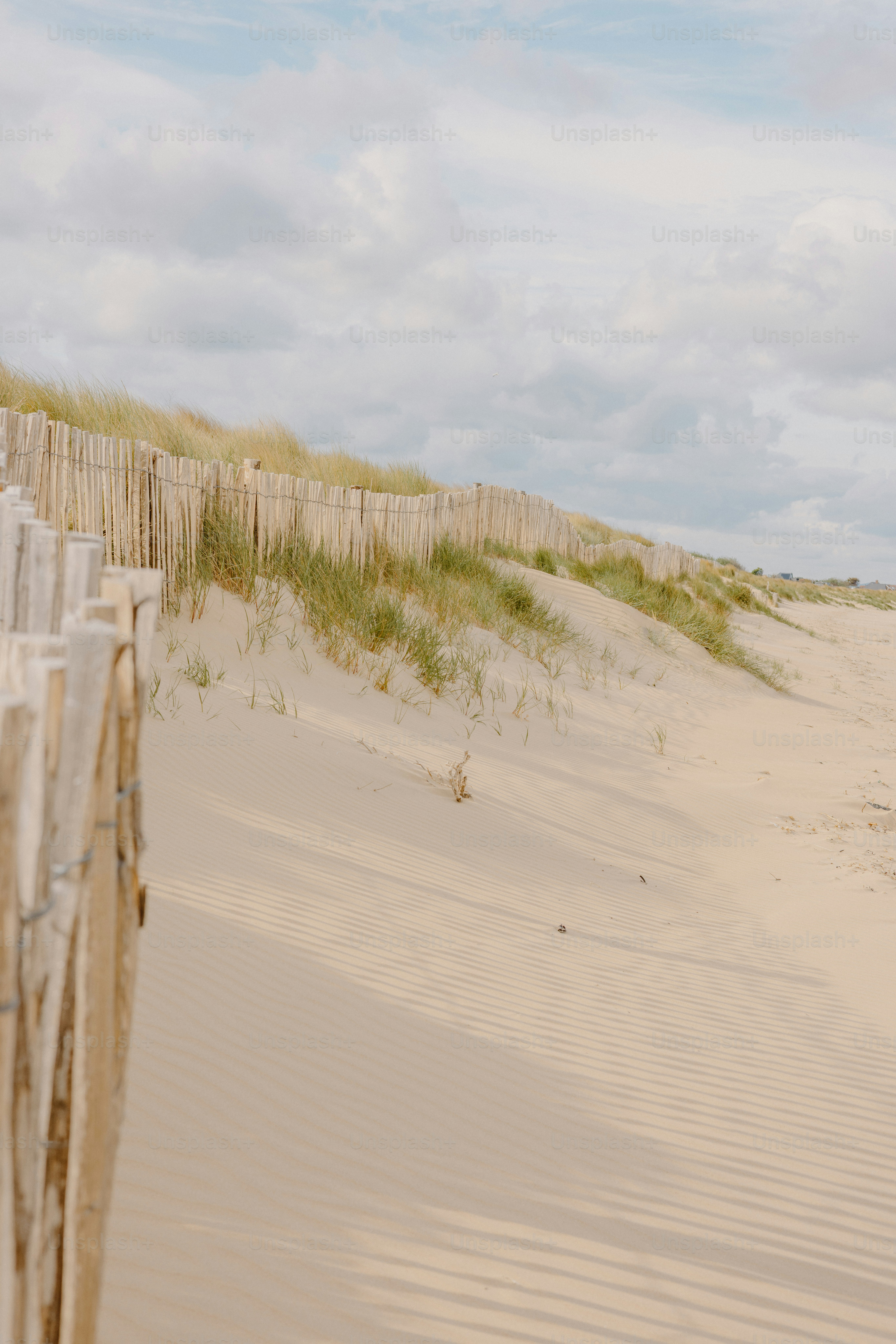 Sandy dunes with a wooden fence and grass.
