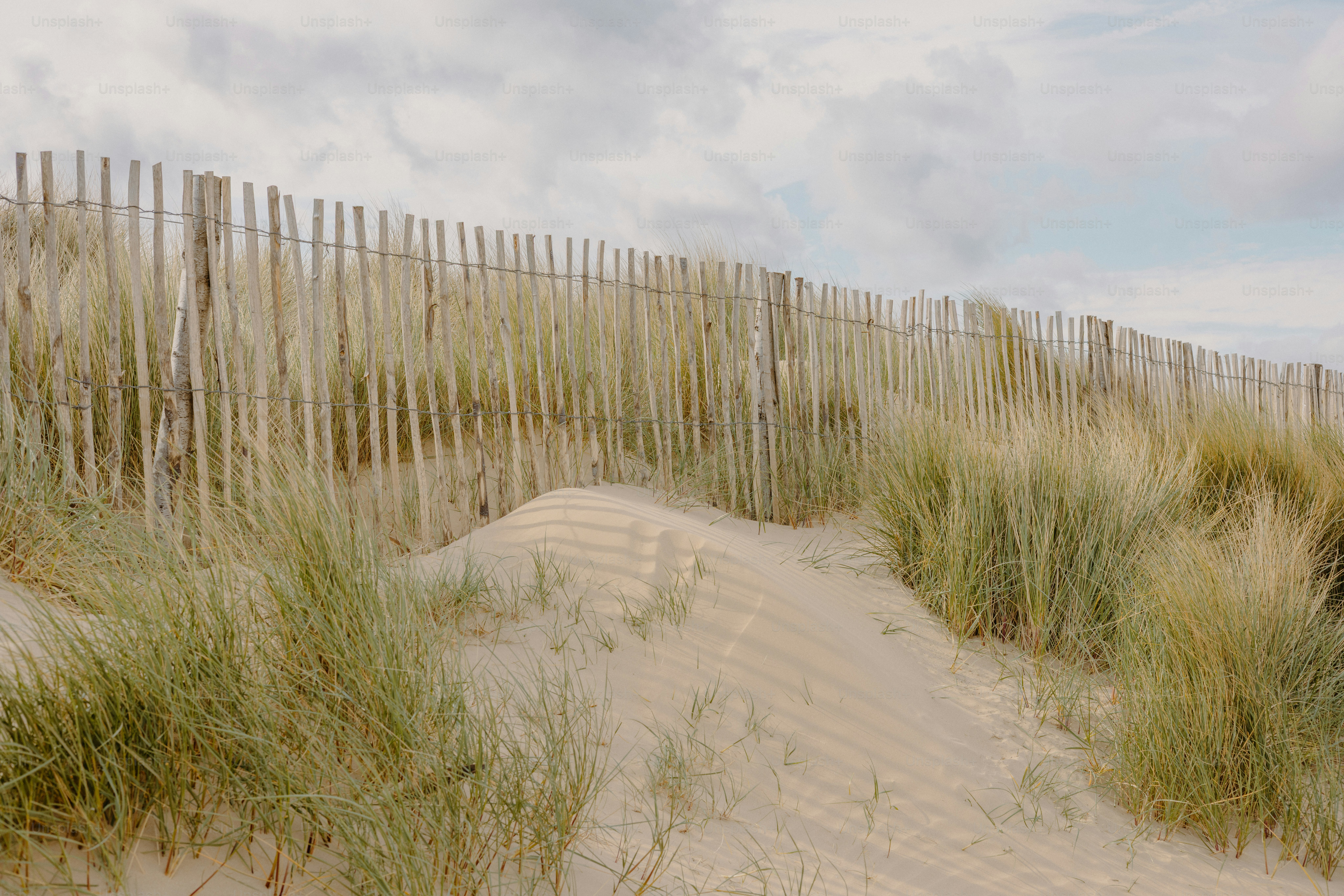 A sandy dune landscape with a wooden fence.