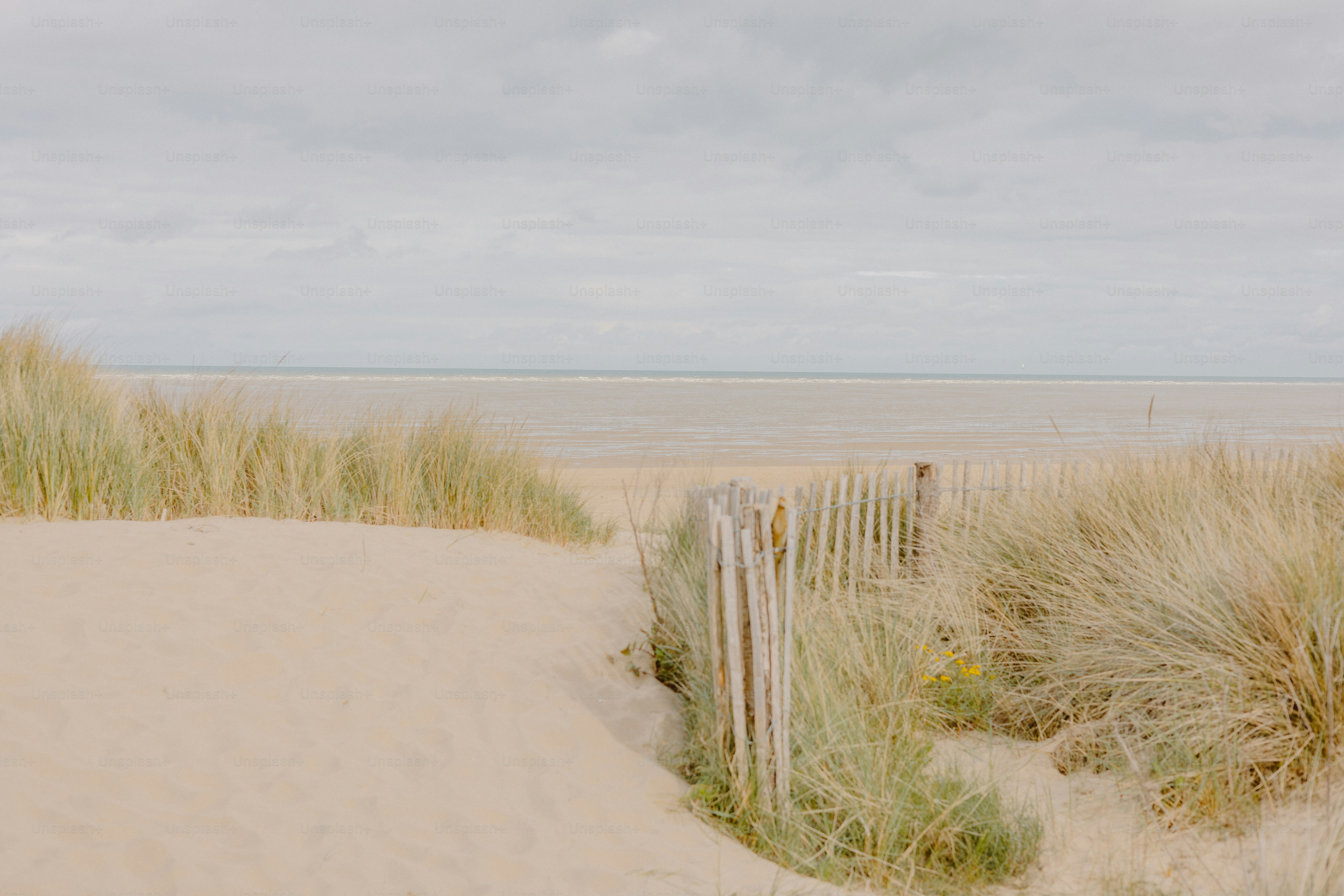 Una spiaggia sabbiosa è incorniciata da alte dune erbose.