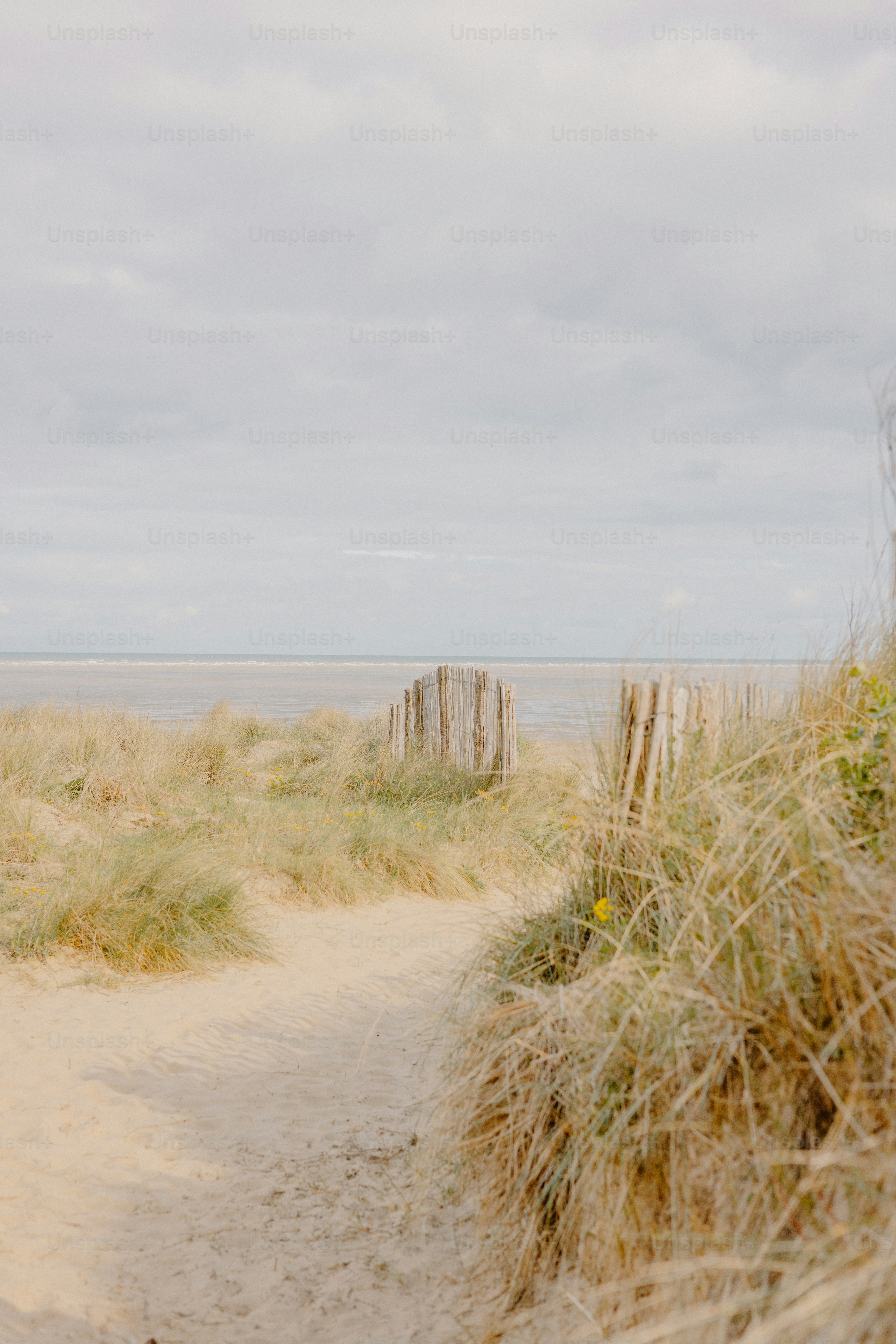 Il sentiero sabbioso conduce alla spiaggia con un cielo nuvoloso.