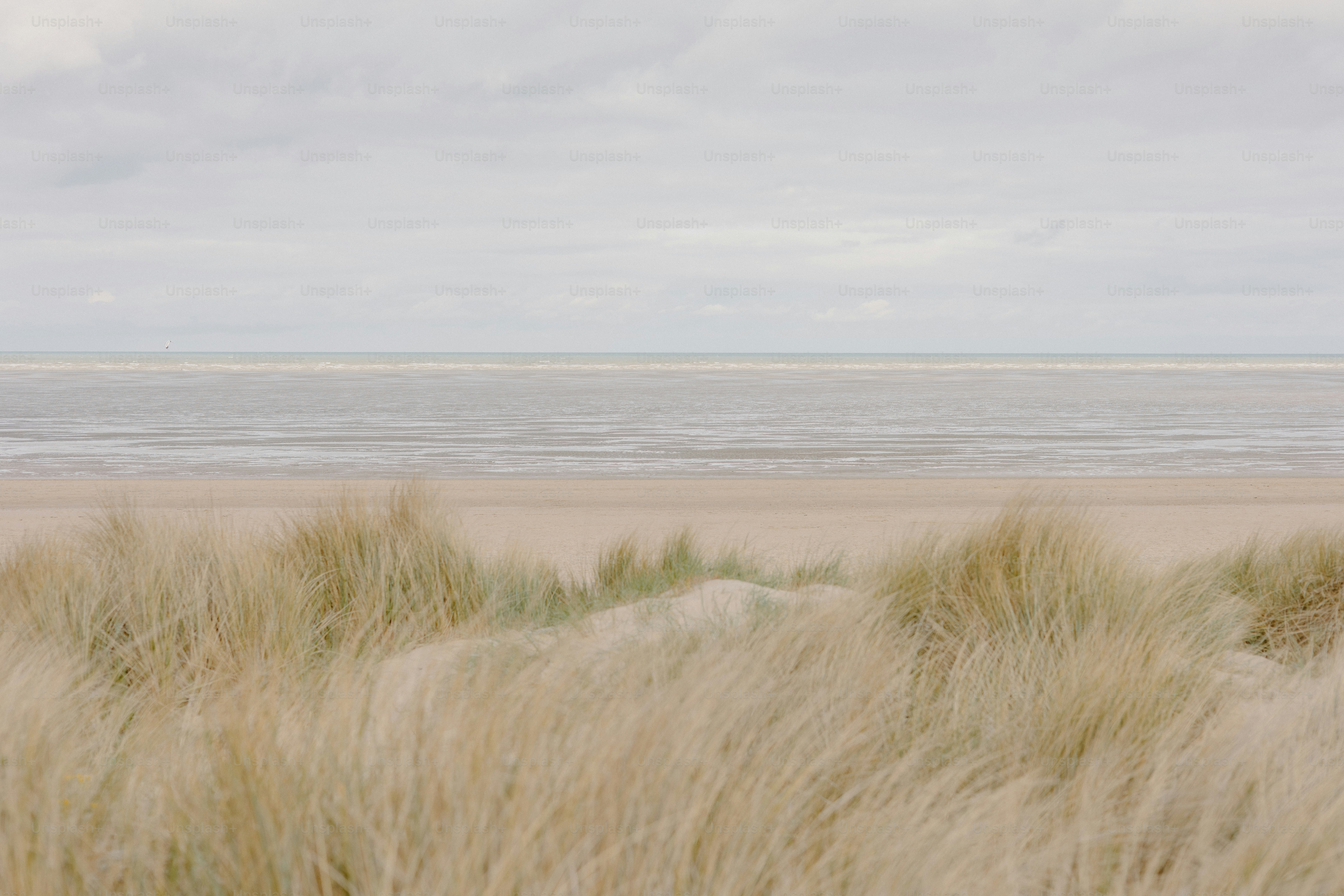 Grassy dunes overlook a calm sea.