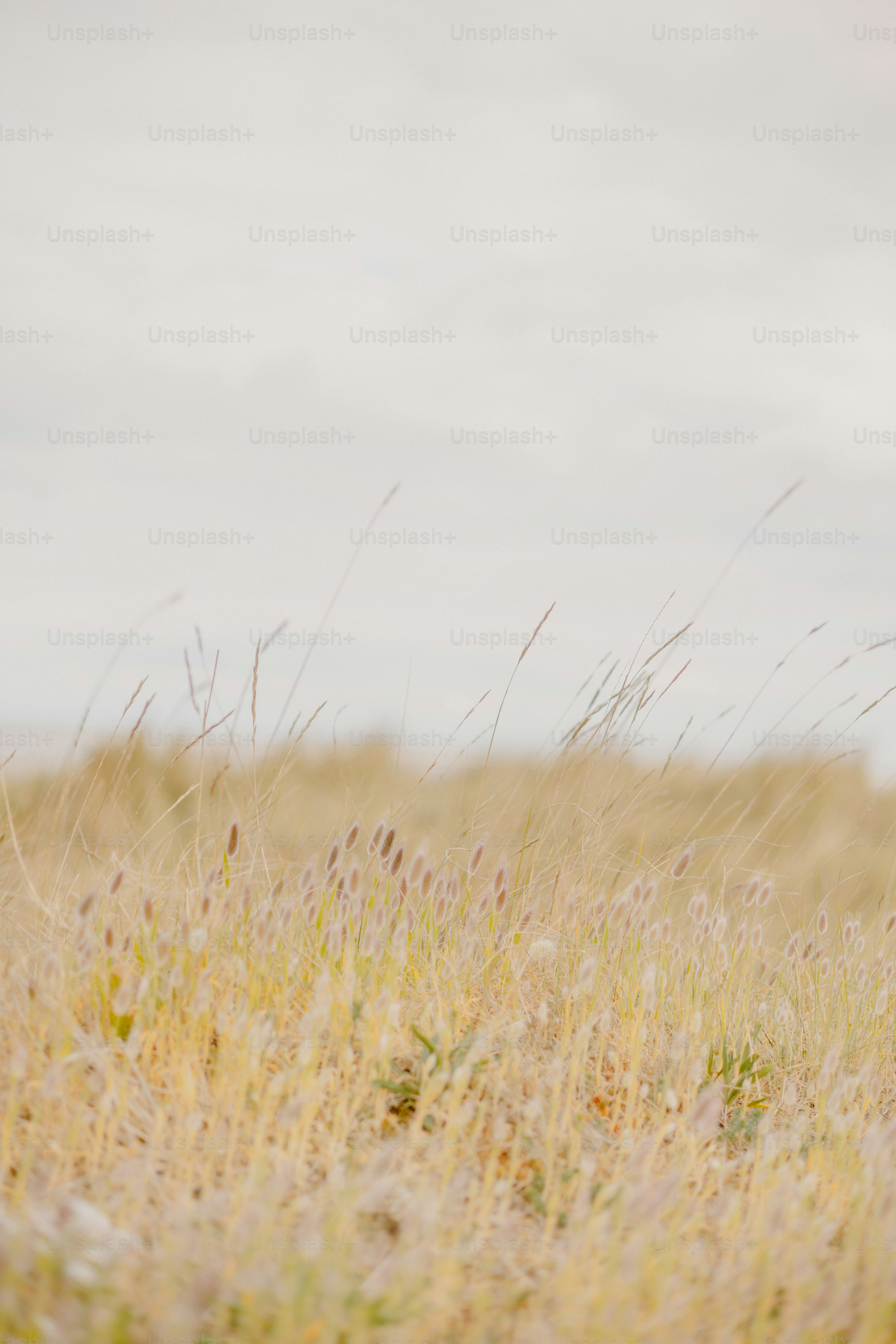 AIXA Miner Advances Scalable Cloud Mining Solutions as Institutional Blockchain Demand Grows