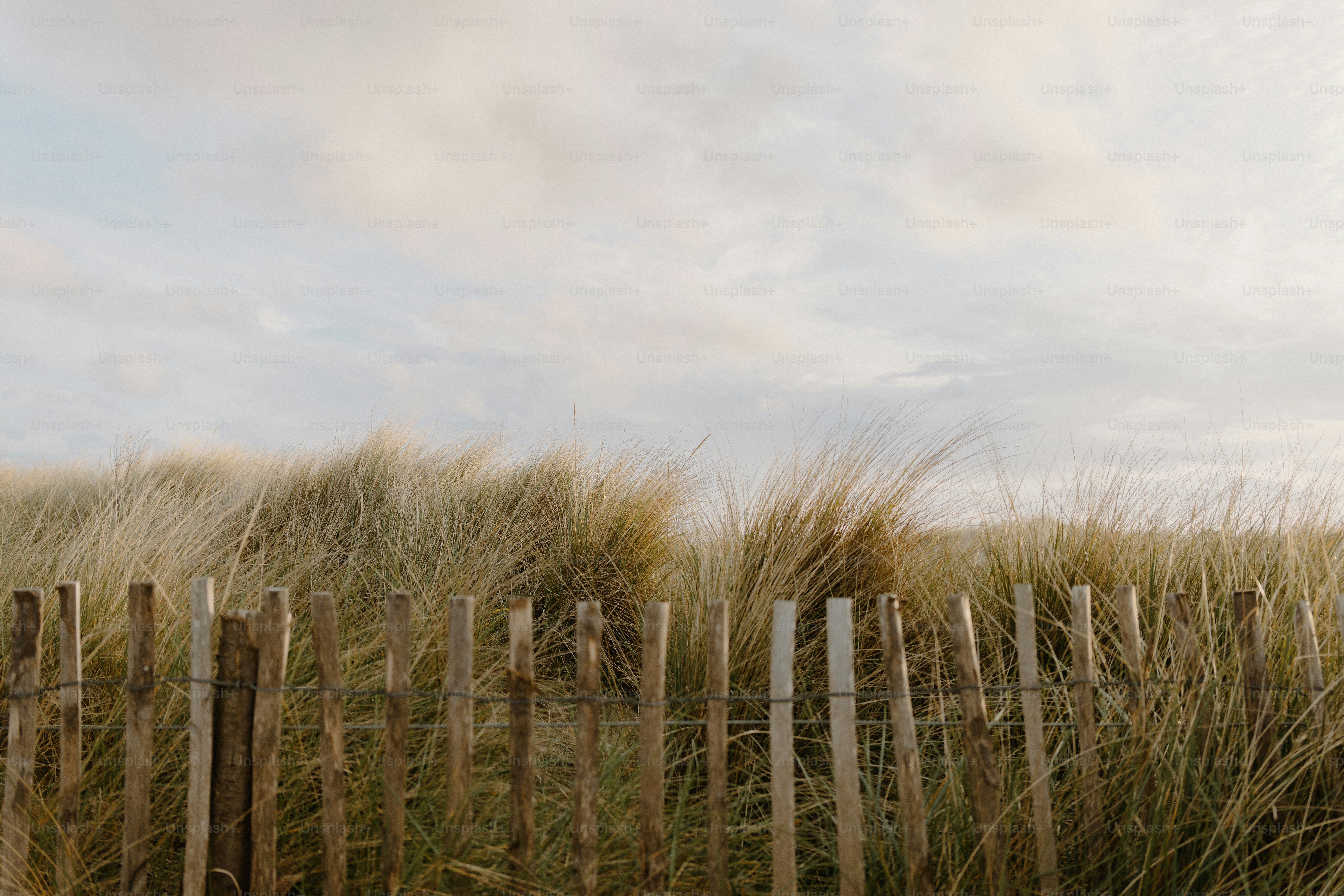 A wooden fence in front of tall grass. photo – Minimal Image on Unsplash