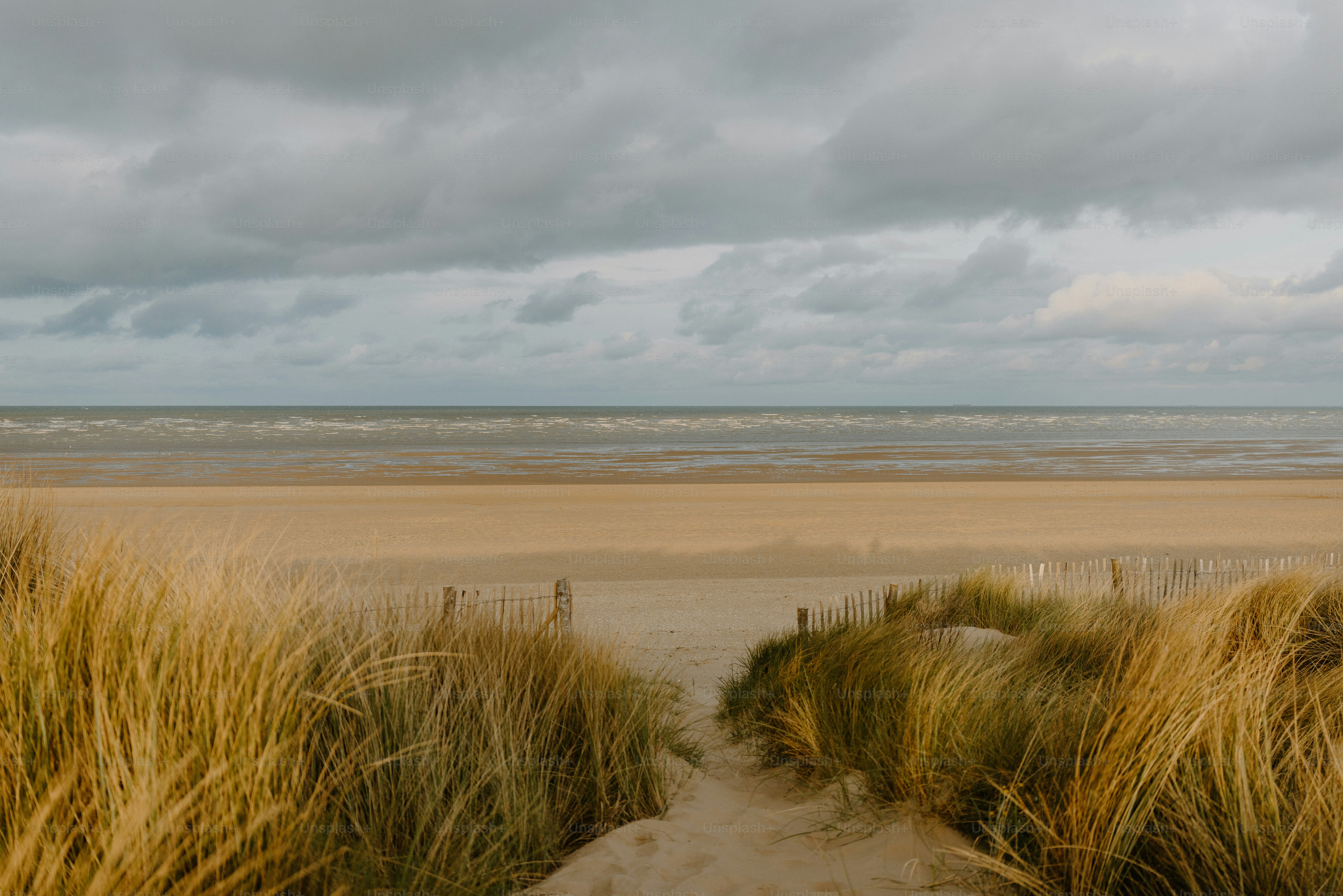 Vélomaritime Banner