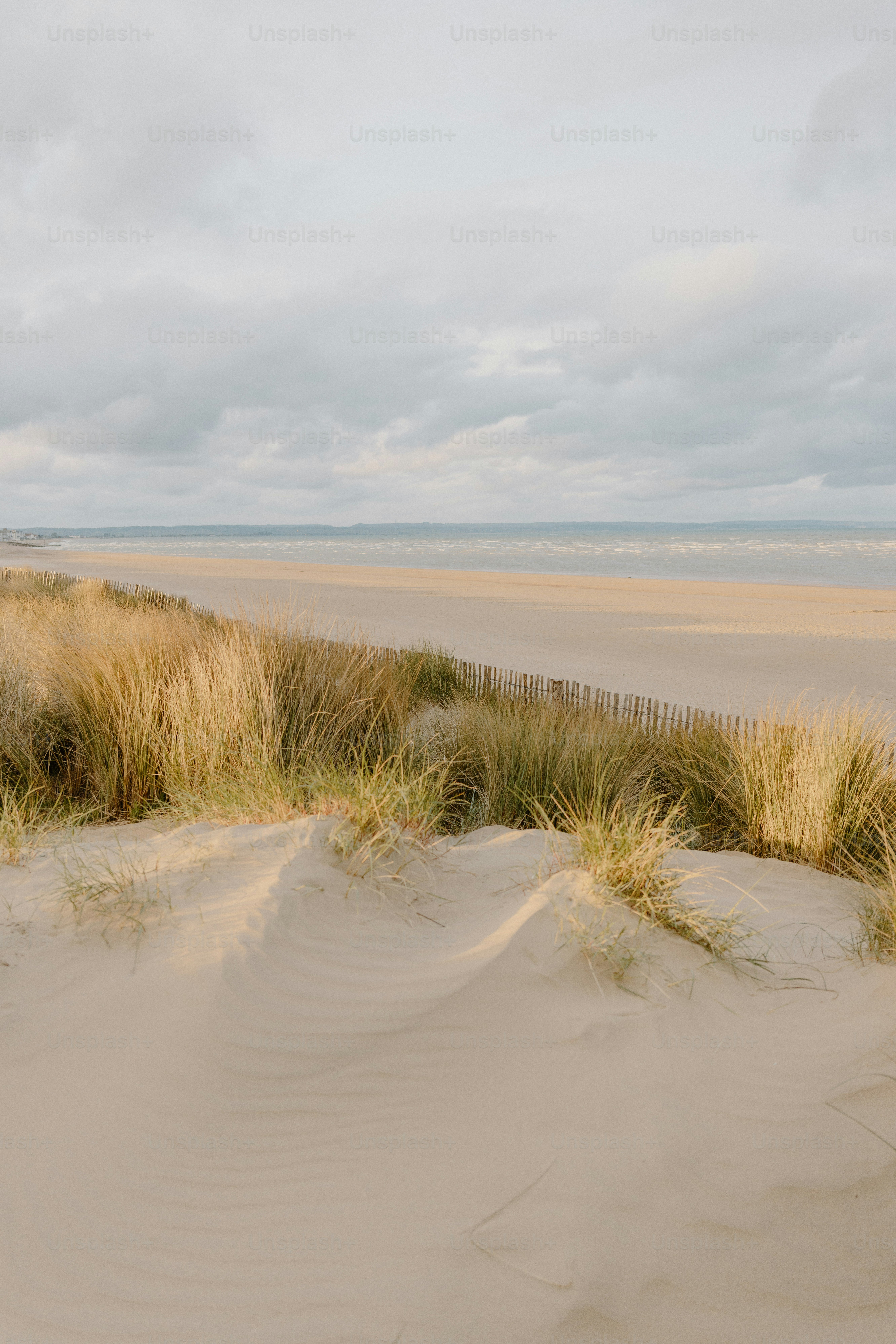 Dune grasses and a sandy beach under a cloudy sky.