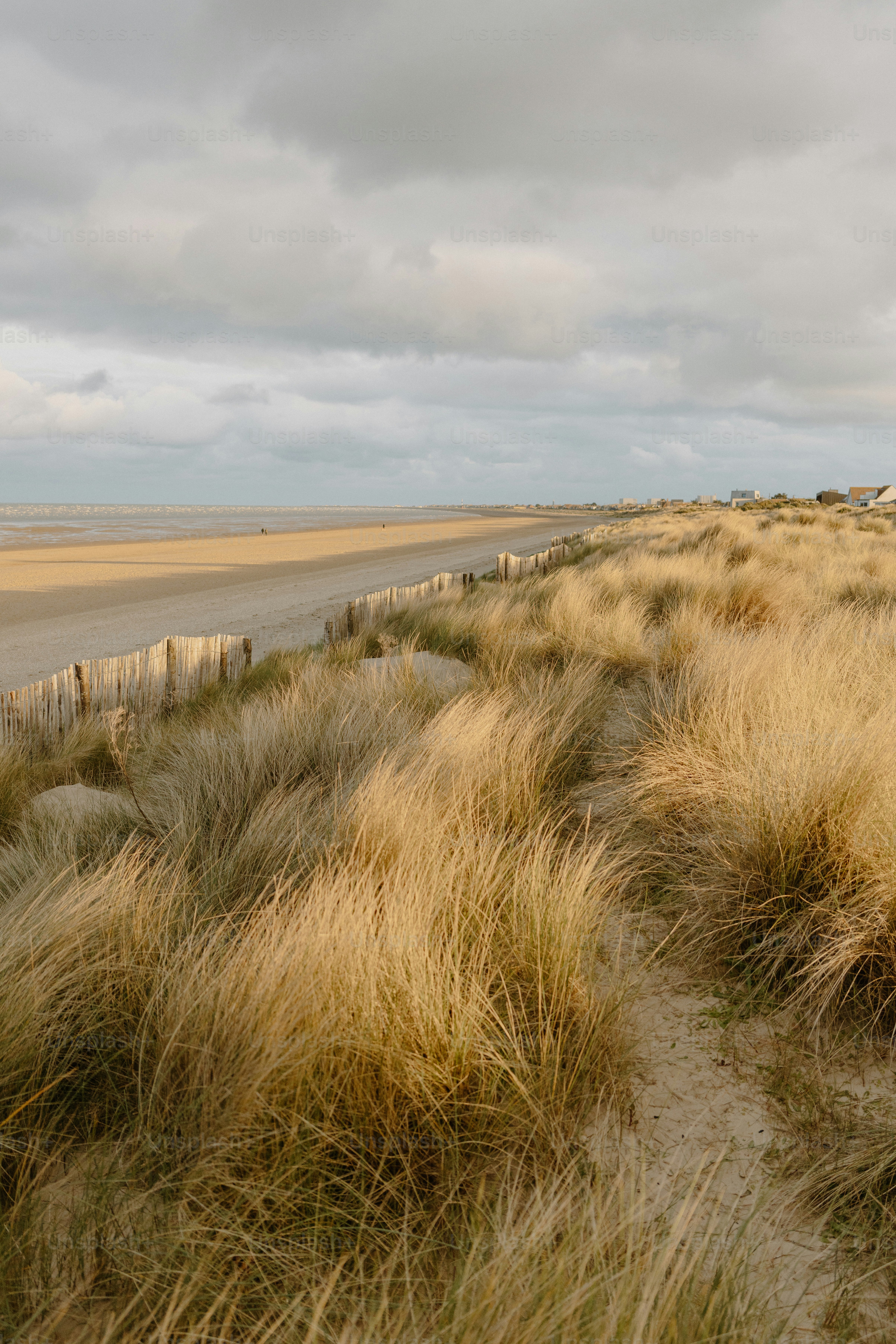 Golden beach and dunes under a cloudy sky.