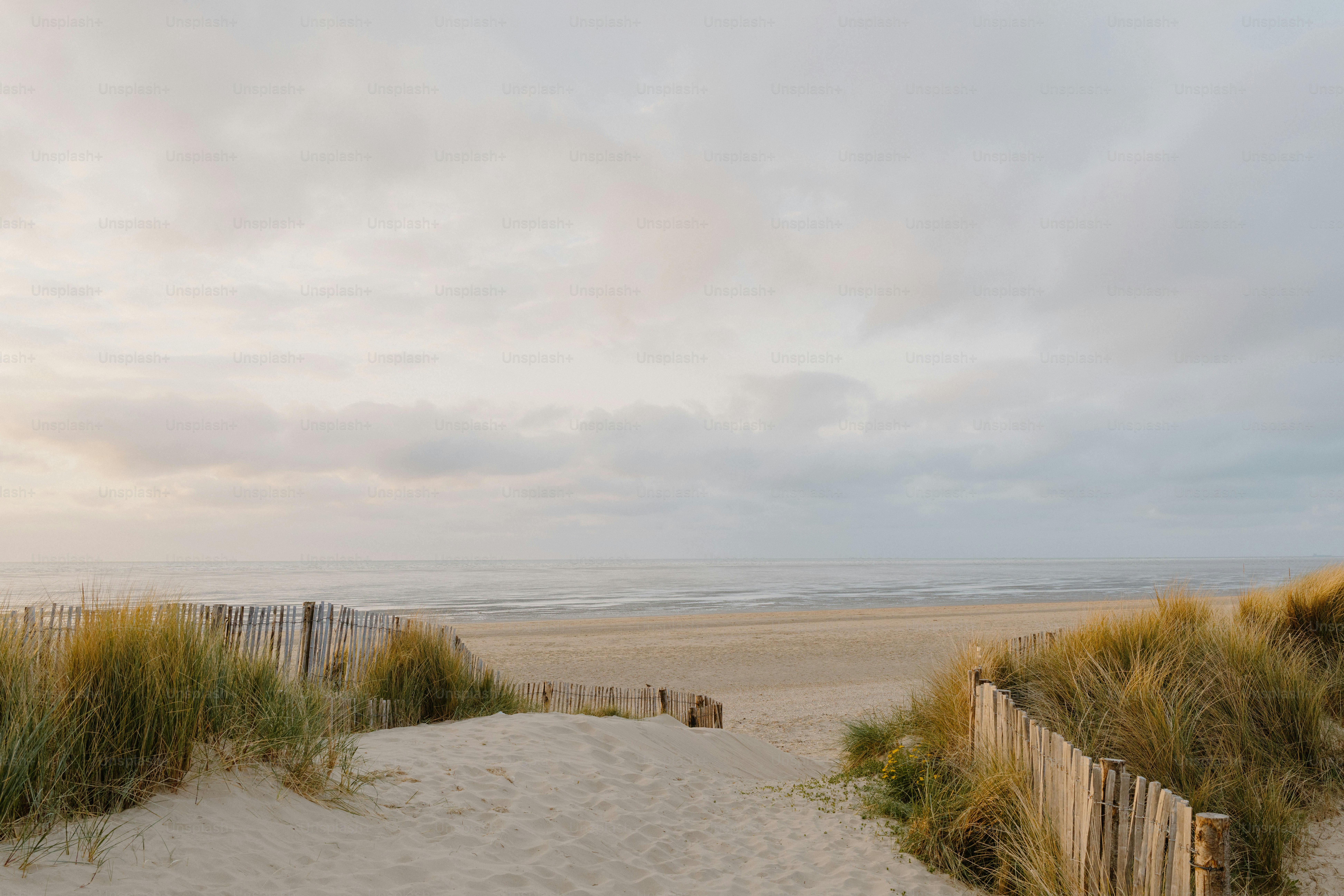 Un sentiero tra le dune conduce alla spiaggia.
