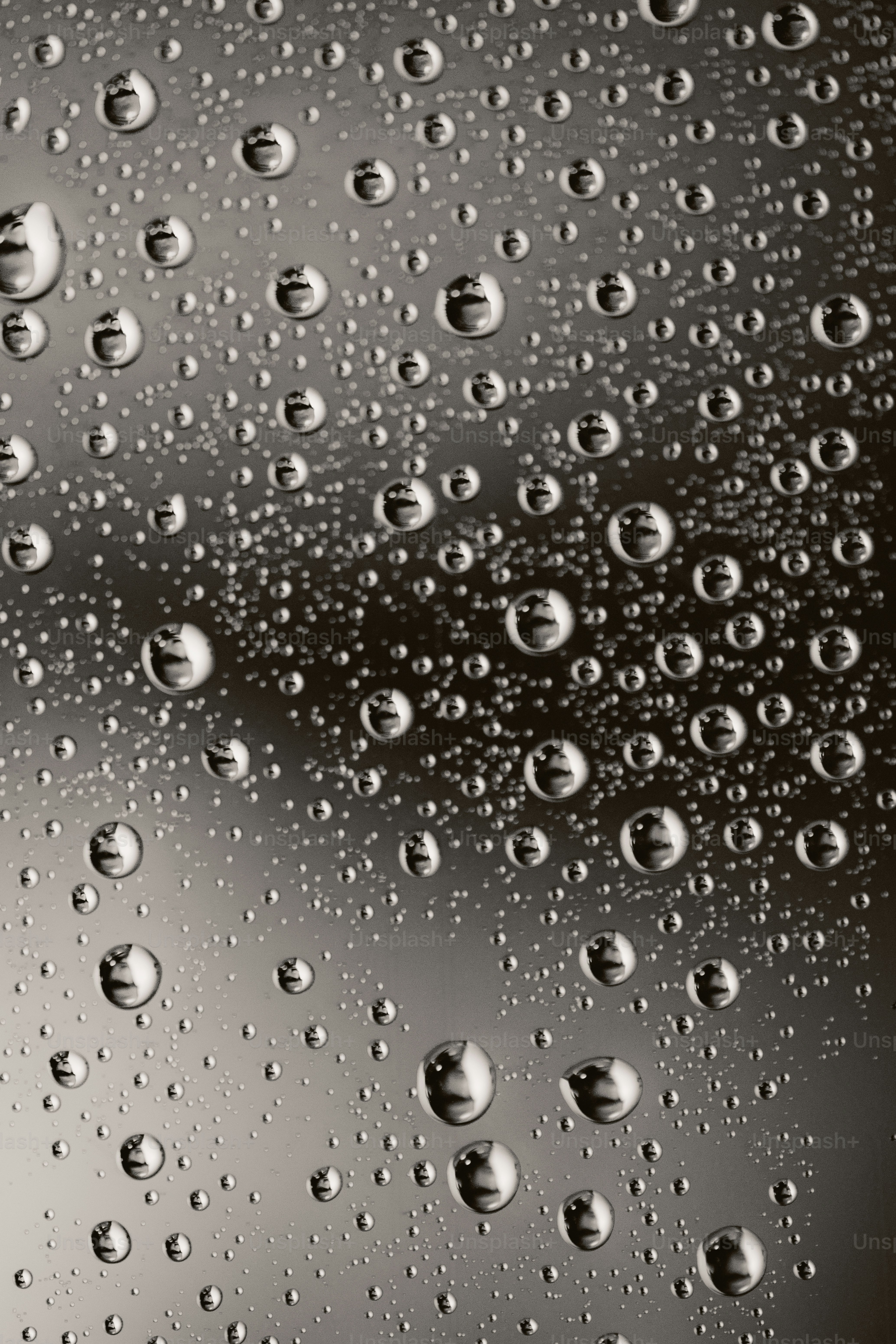 Tetesan air memantulkan cahaya di permukaan.