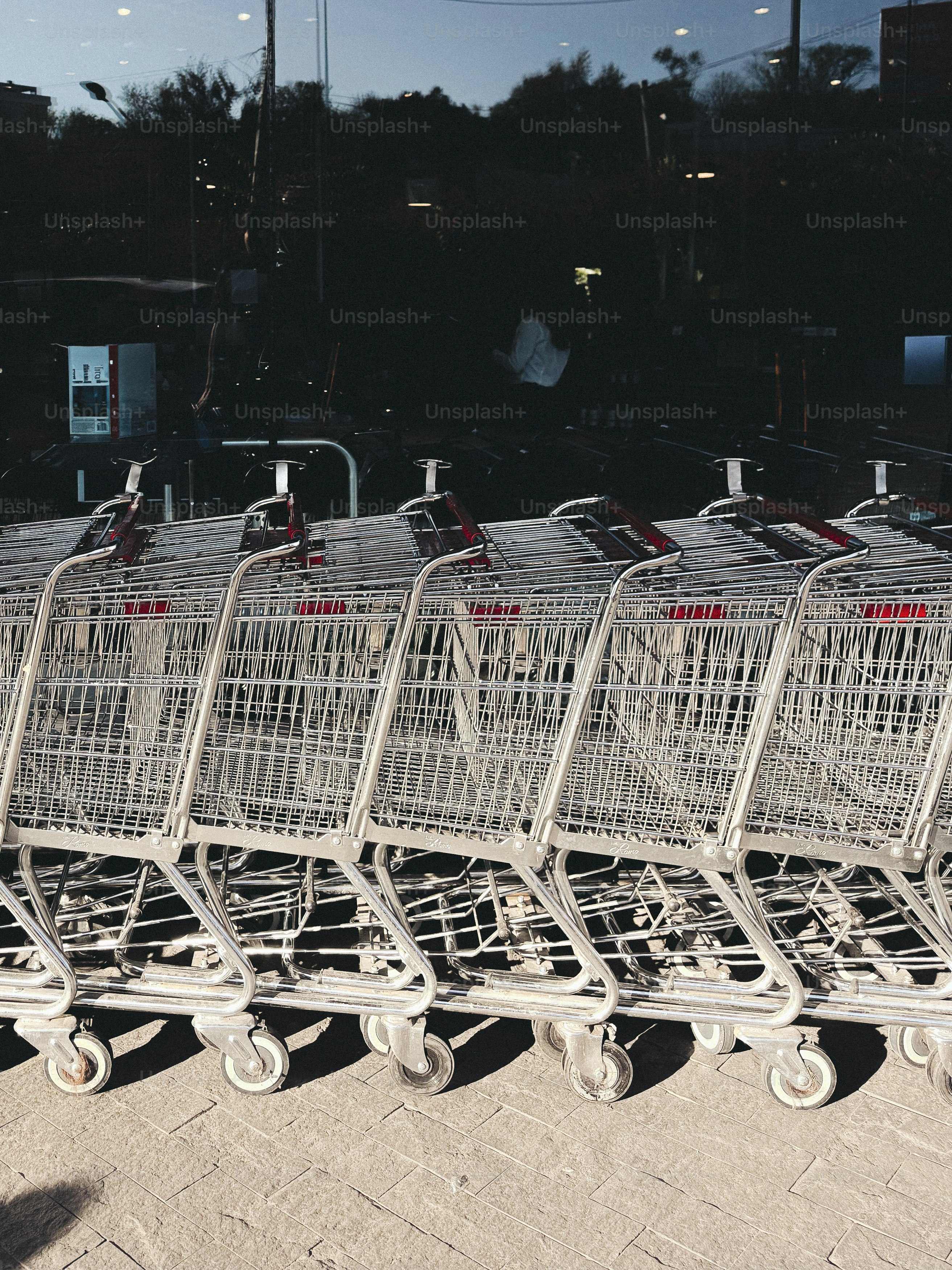 Shopping carts line up outside of a store.