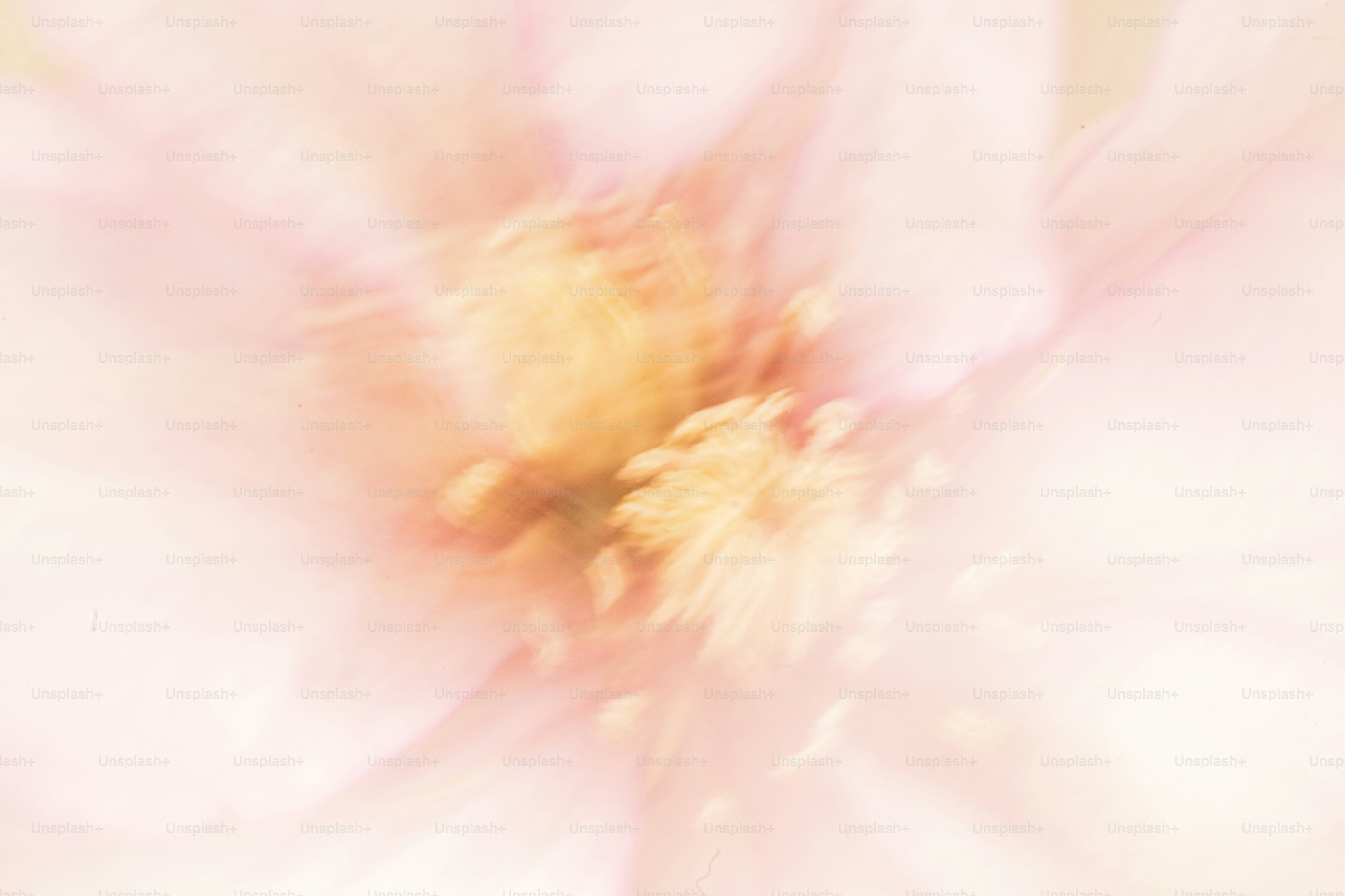 Ecco una didascalia: un'immagine morbida e sfocata del centro di un fiore.