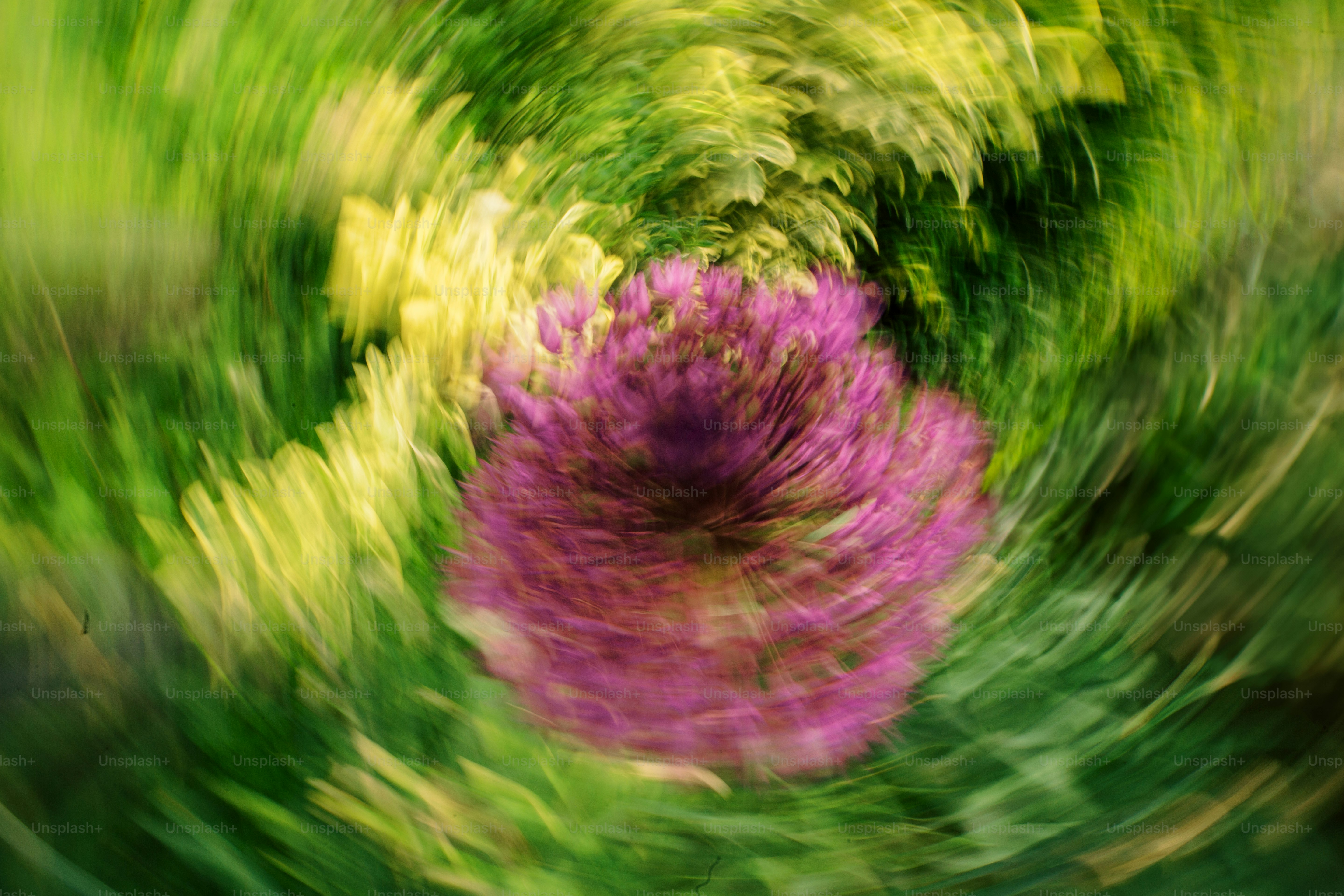 Un fiore viola sfocato in un giardino vorticoso.