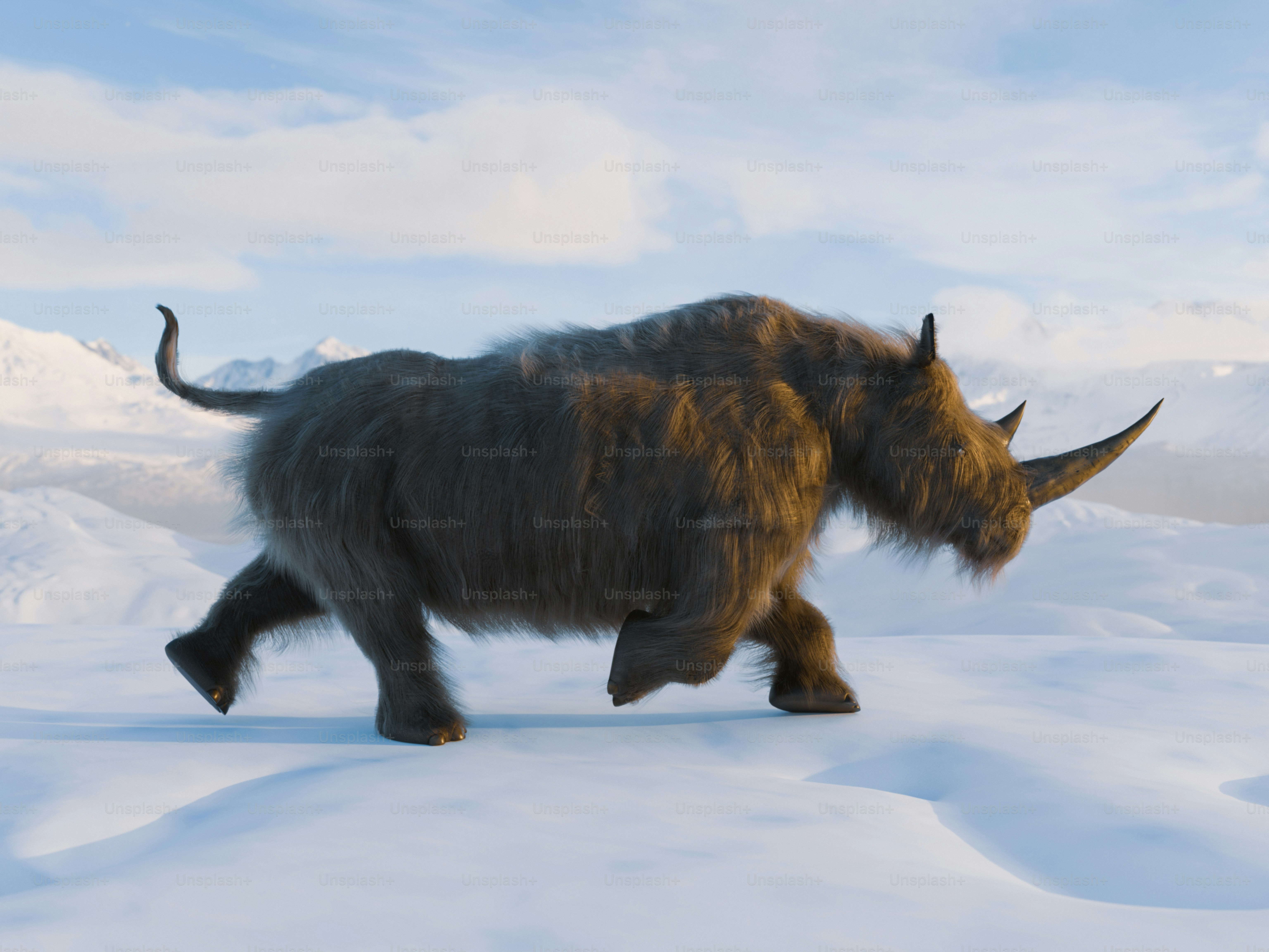 A woolly rhinoceros walks across a snowy landscape.