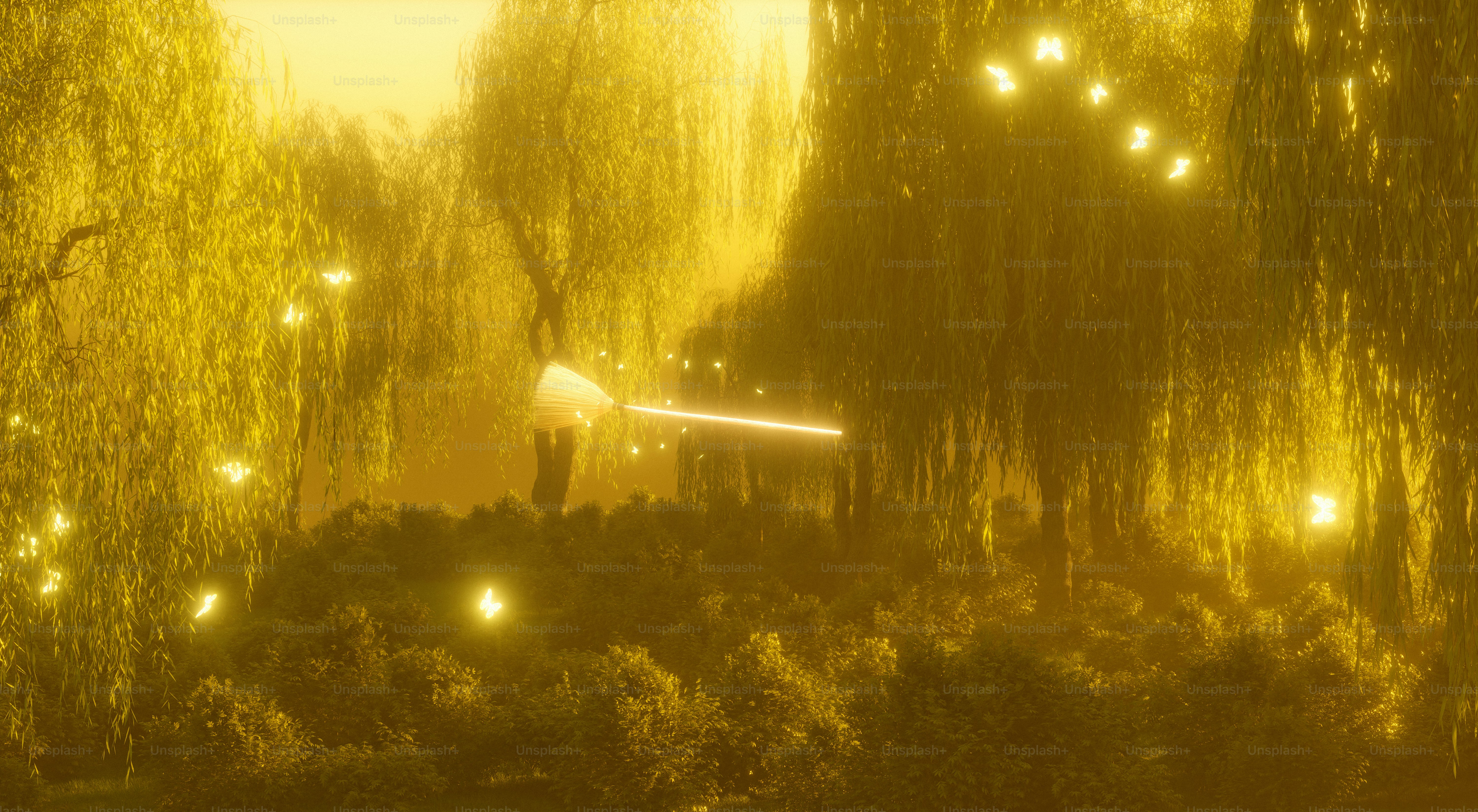 Une lumière dorée filtre à travers une forêt rougeoyante.