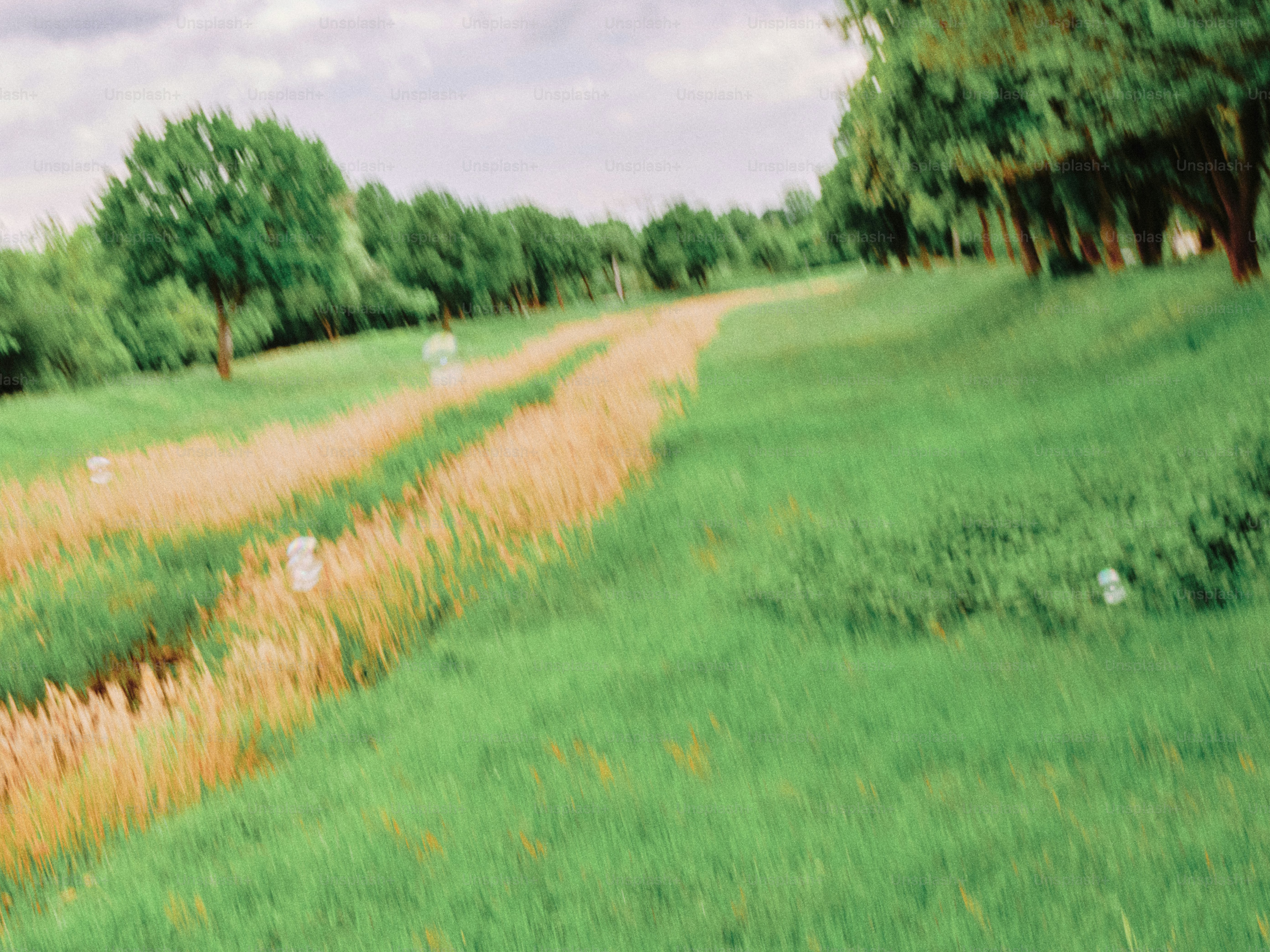 A green field with a grassy path.