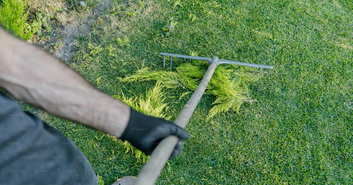 Someone is raking leaves on the green grass. photo – Spring Image on ...