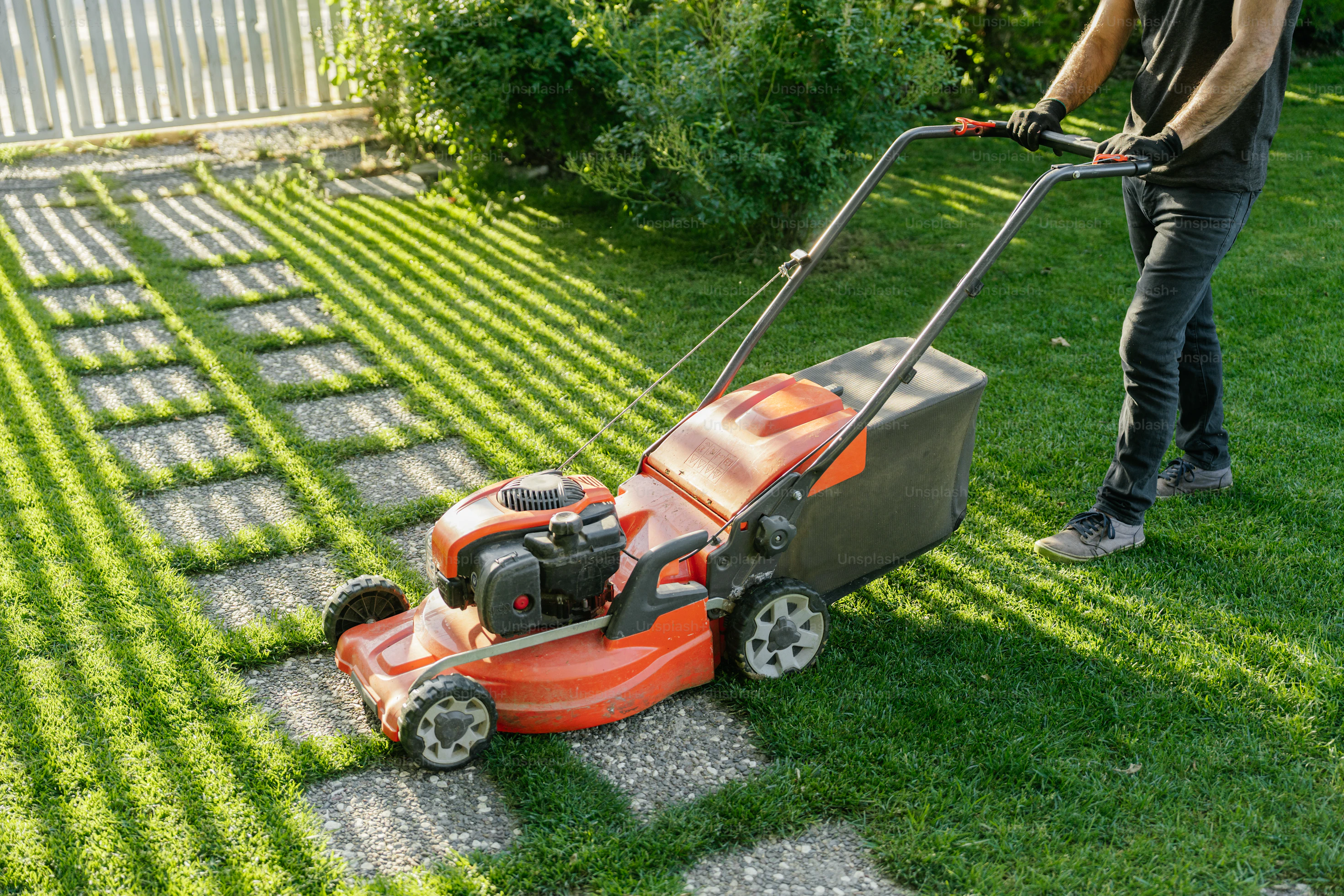 Lawn