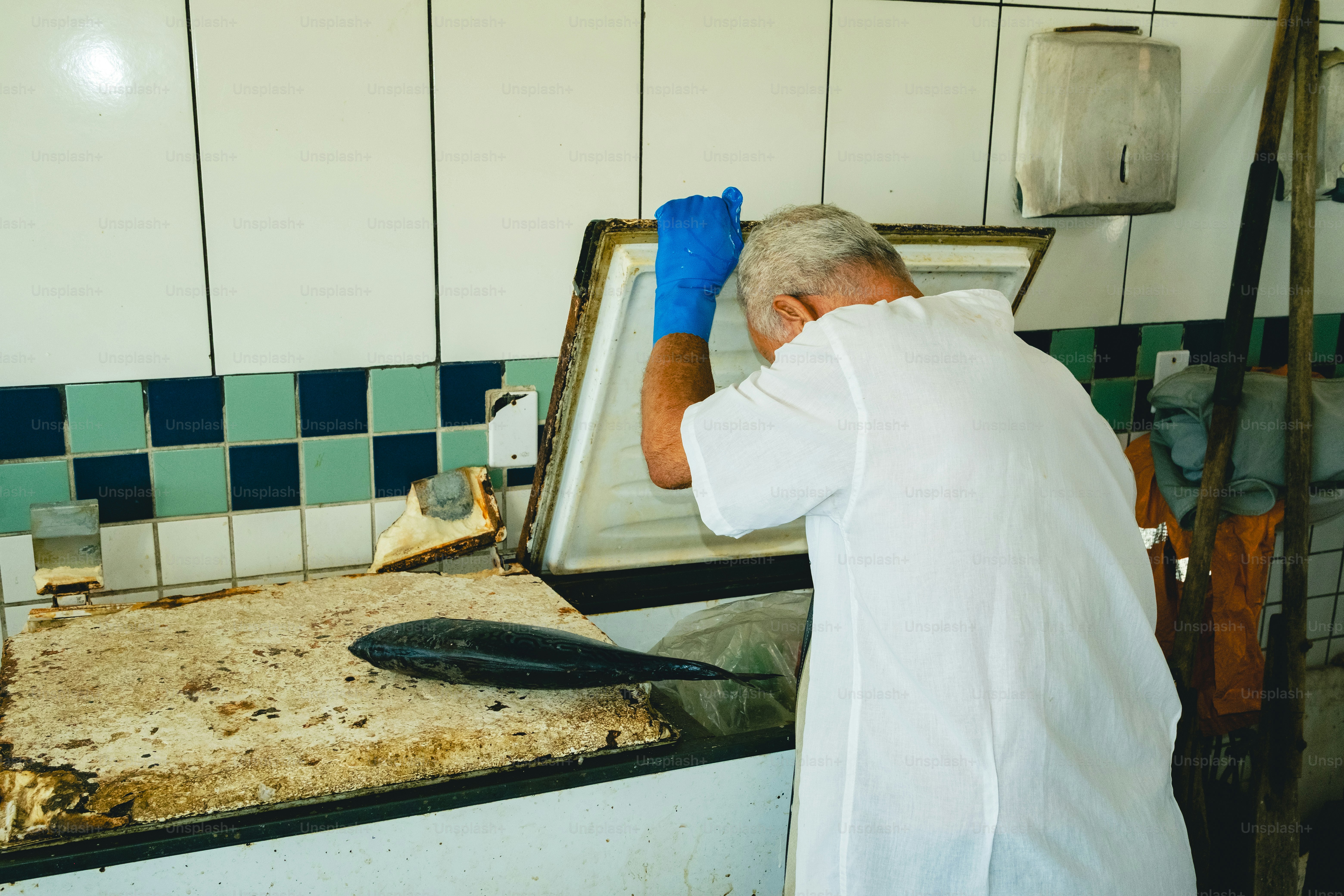 A man inspects fish near a freezer.