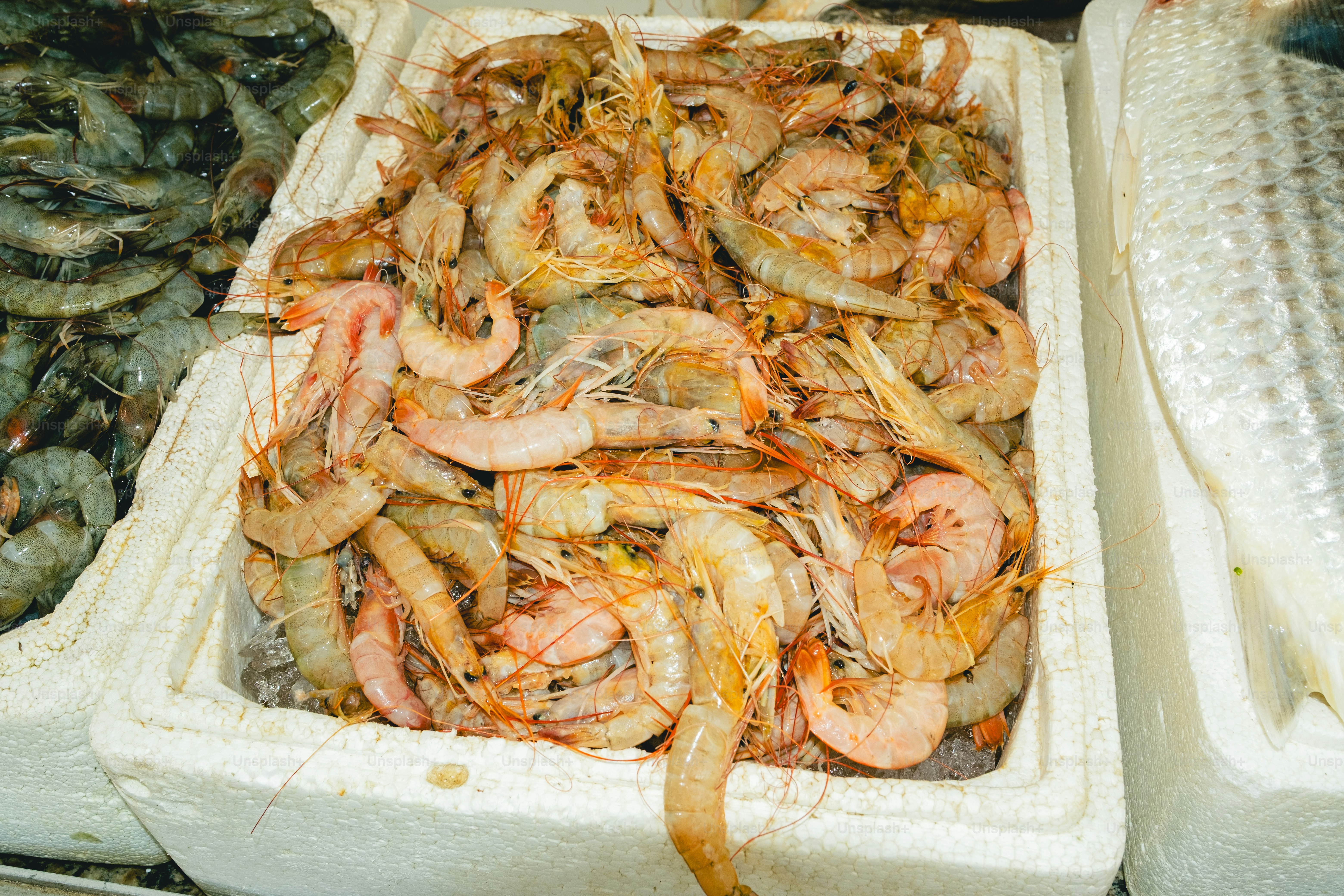 Fresh shrimp are displayed in a box.