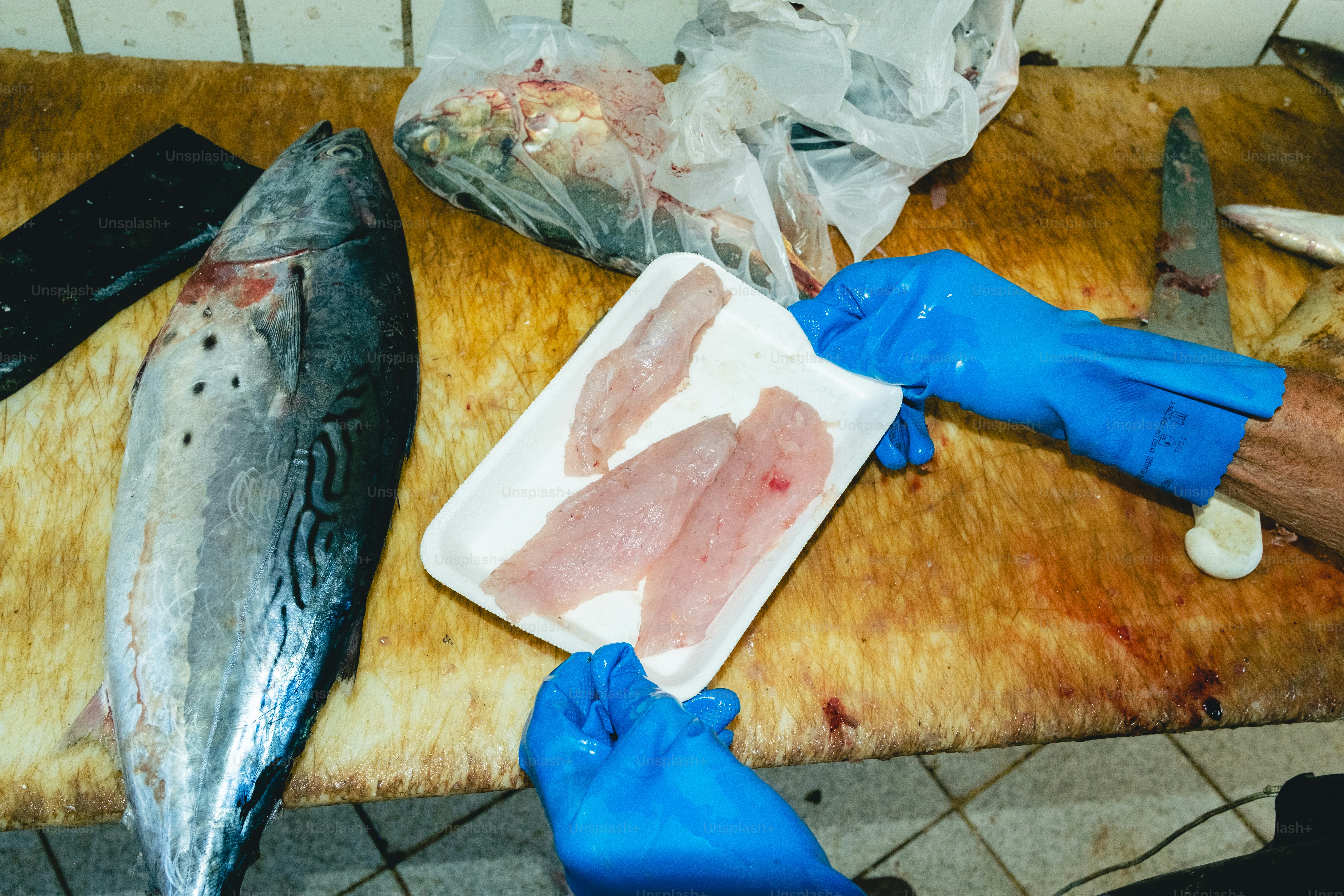 Ikan fillet segar sedang disiapkan untuk dijual.
