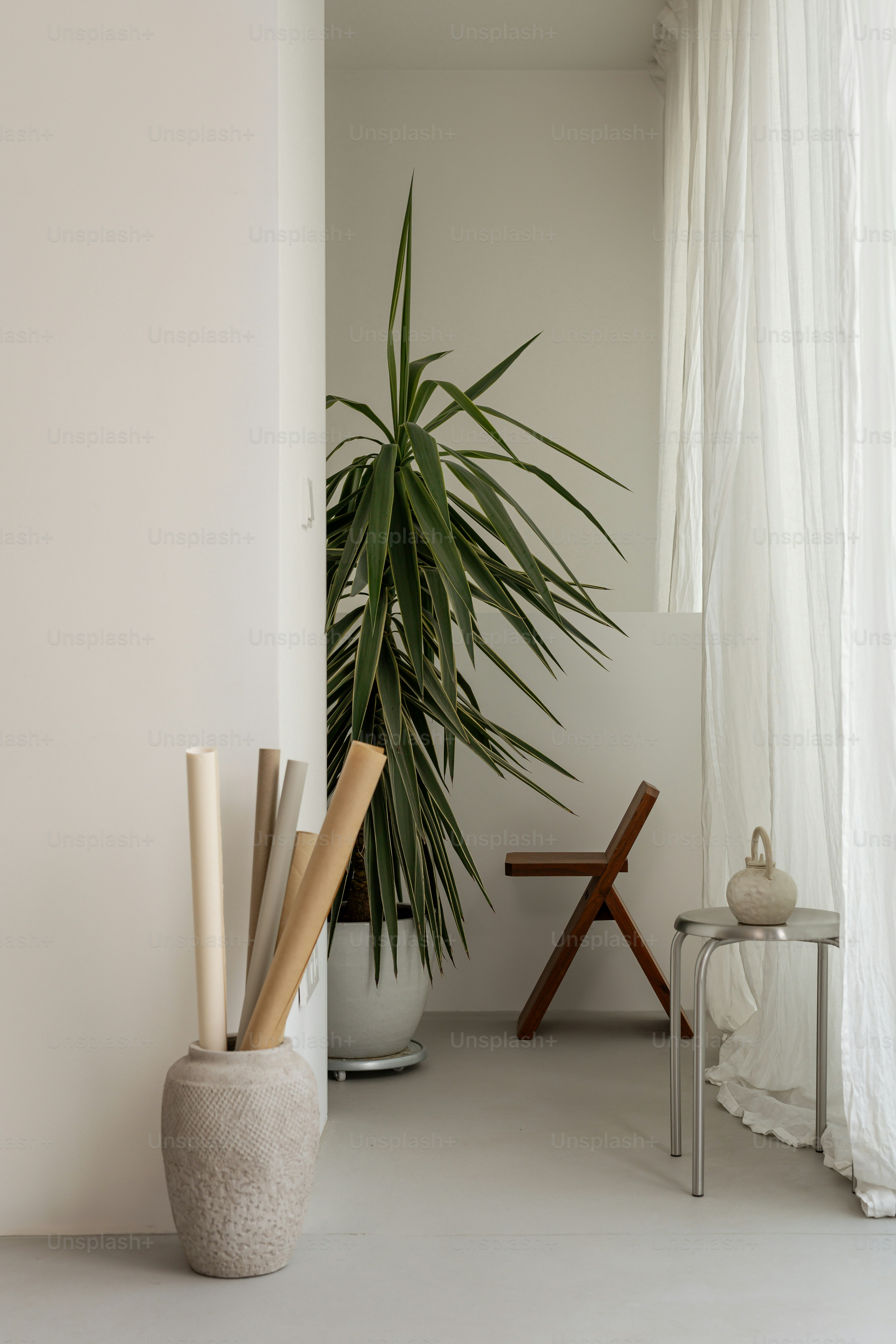 premium_photo-1748106667748-cf6378f458c2?ixid=M3wxMjA3fDB8MXxzZWFyY2h8MTN8fGluZG9vciUyMHBsYW50JTIwc3R5bGluZyUyMG56fGVufDB8fHx8MTc1Mjc3MzY1Mnww\u0026ixlib=rb-4.1.0