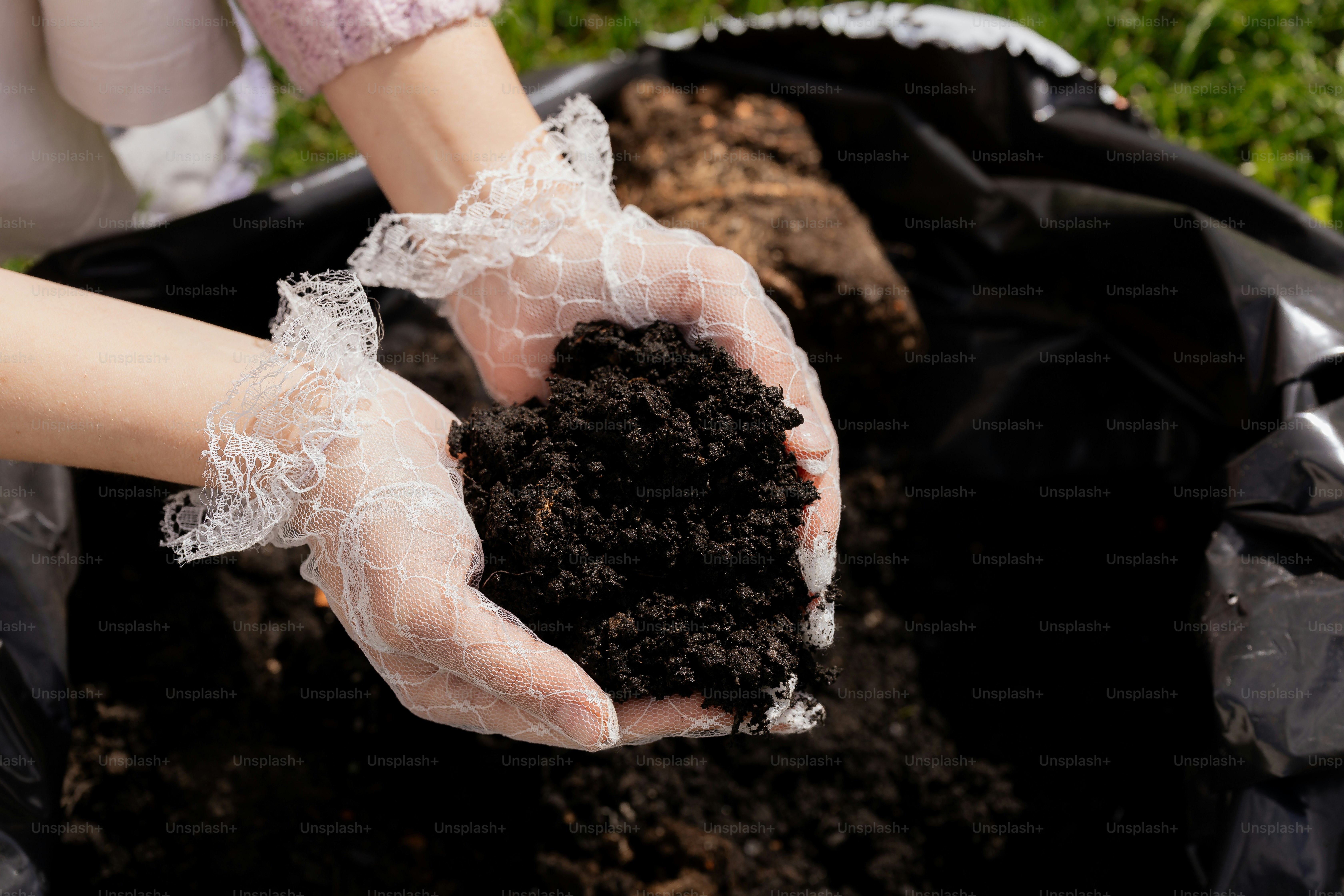 Hands in gloves hold dark, rich soil.