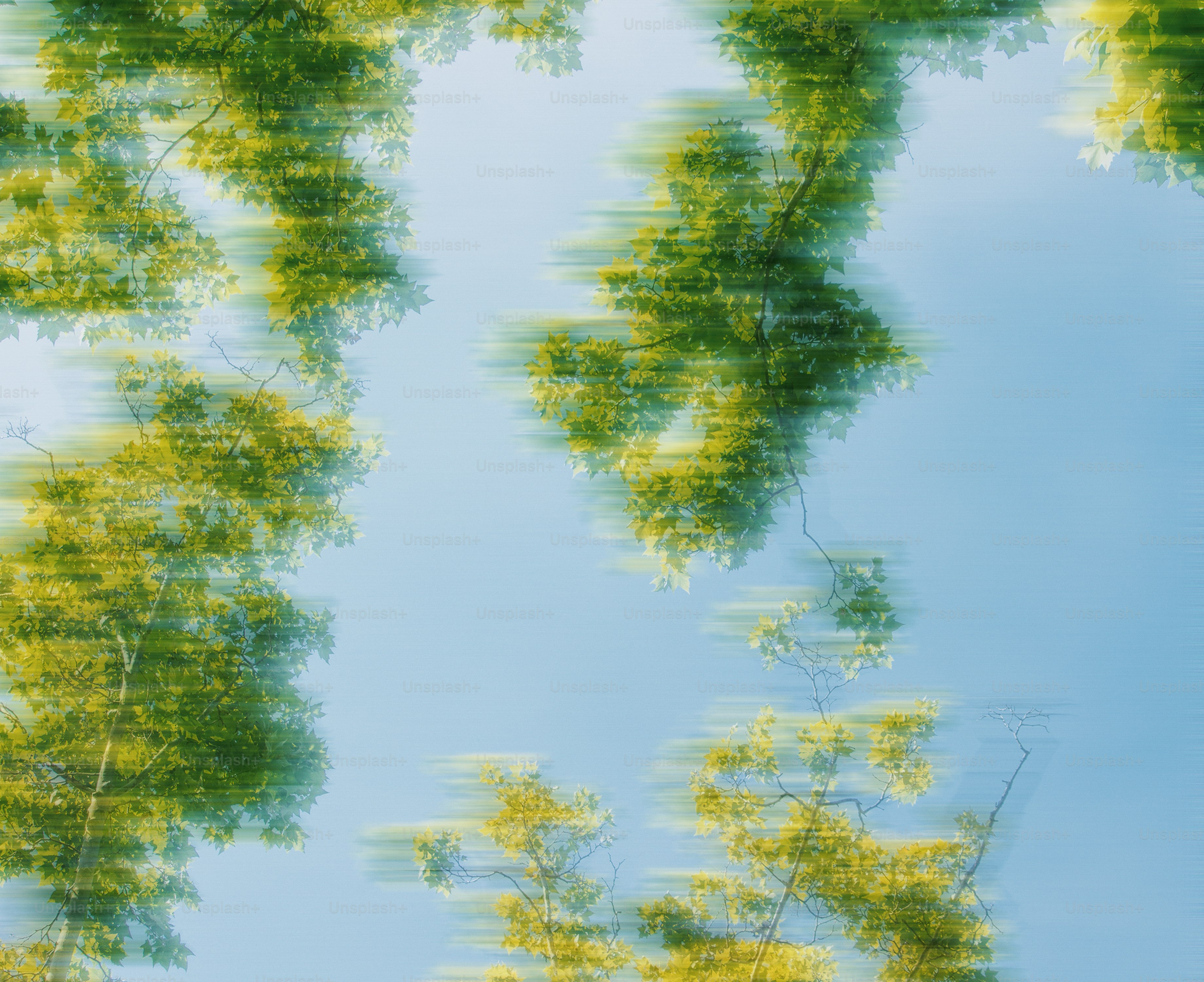 Grüne Bäume und blauer Himmel verschwimmen.