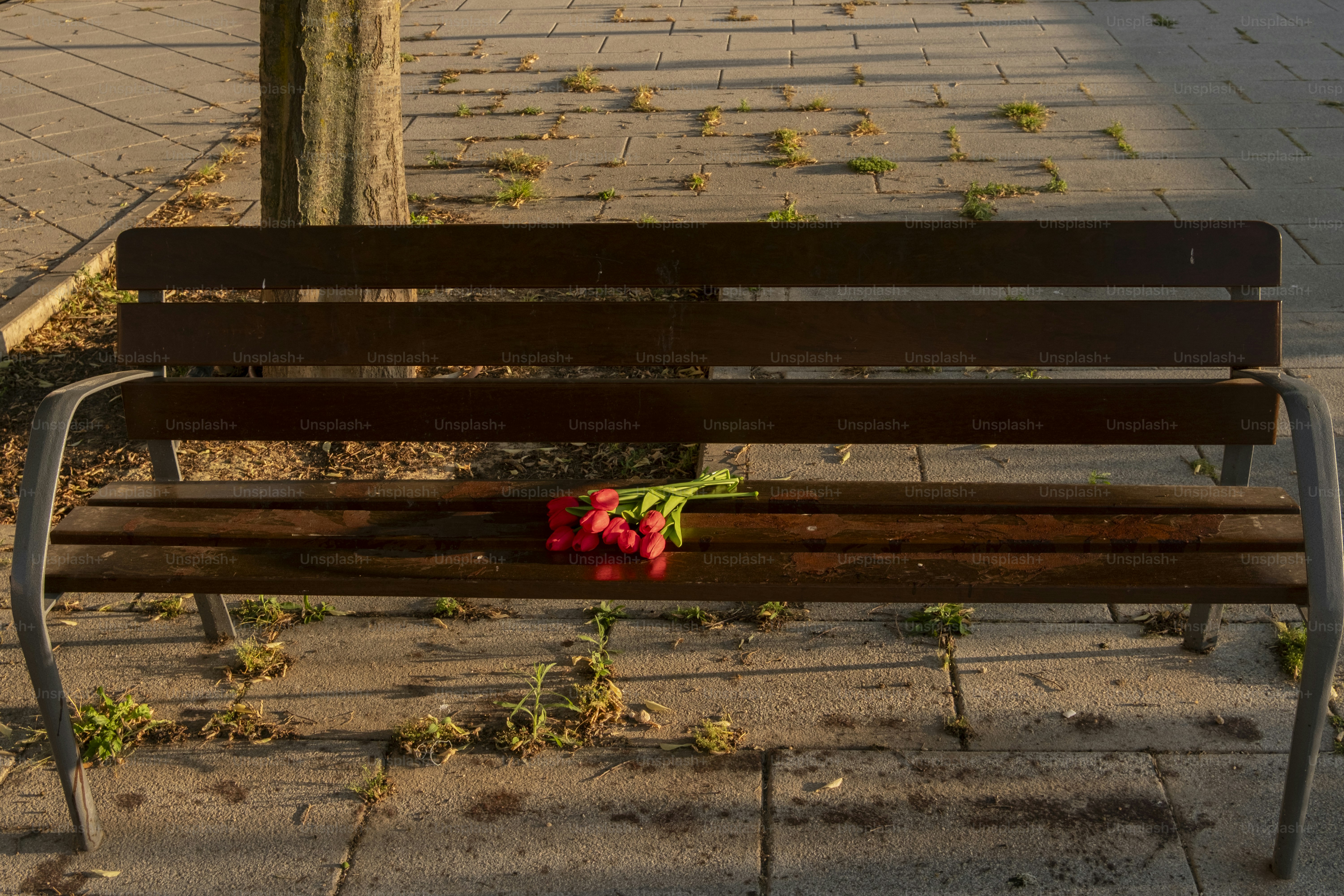 Flowers rest on a bench in a park.