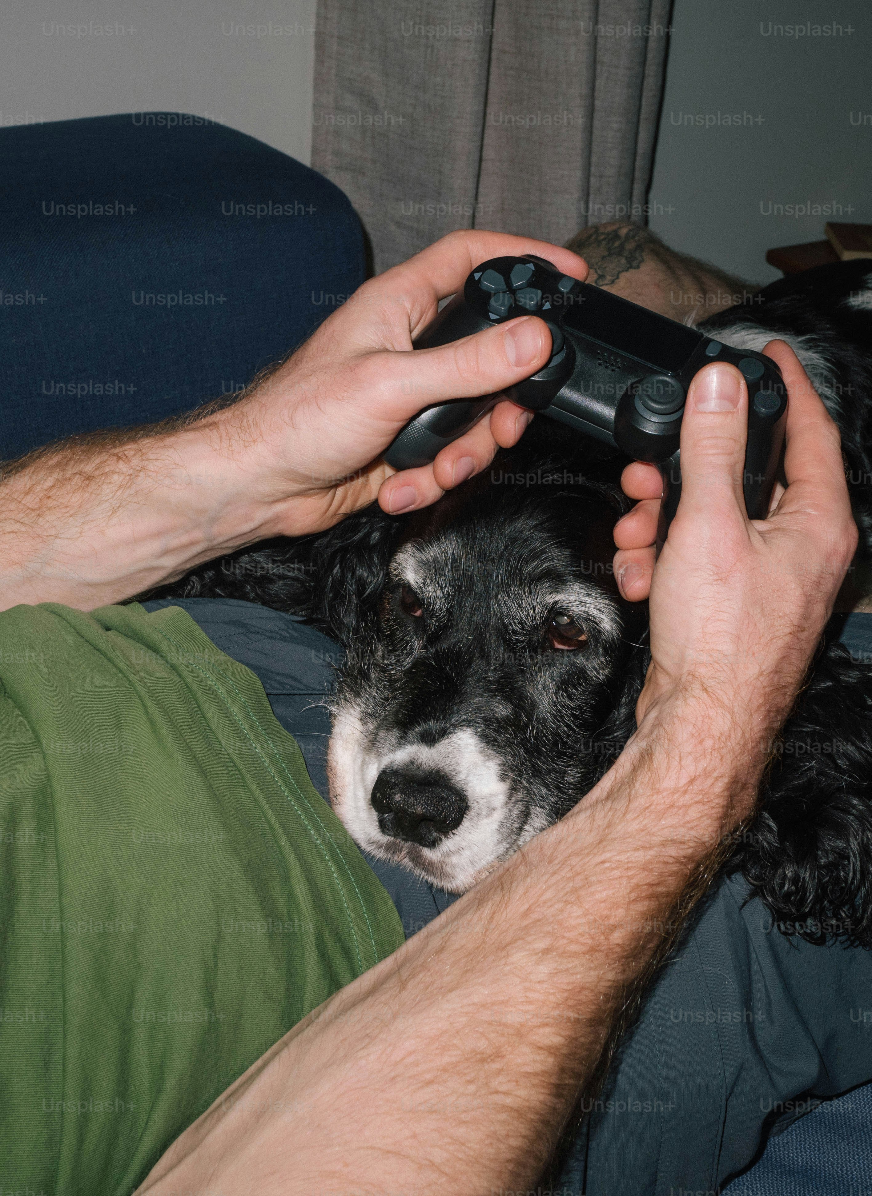 Gamer plays with a controller, dog lays nearby.