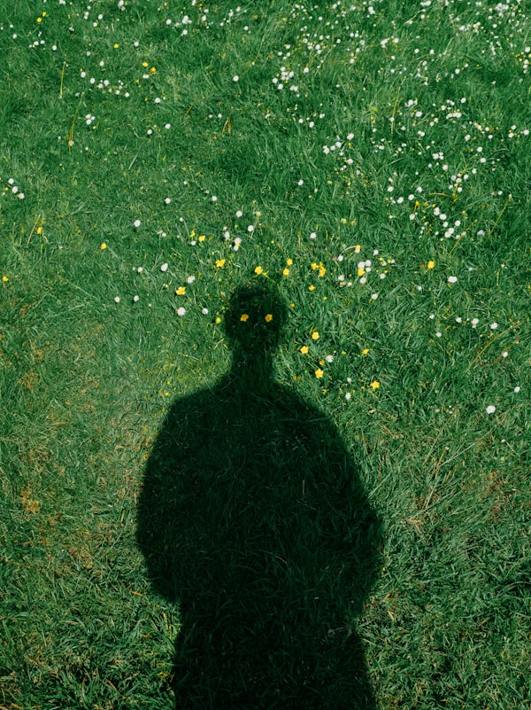 Shadow Work