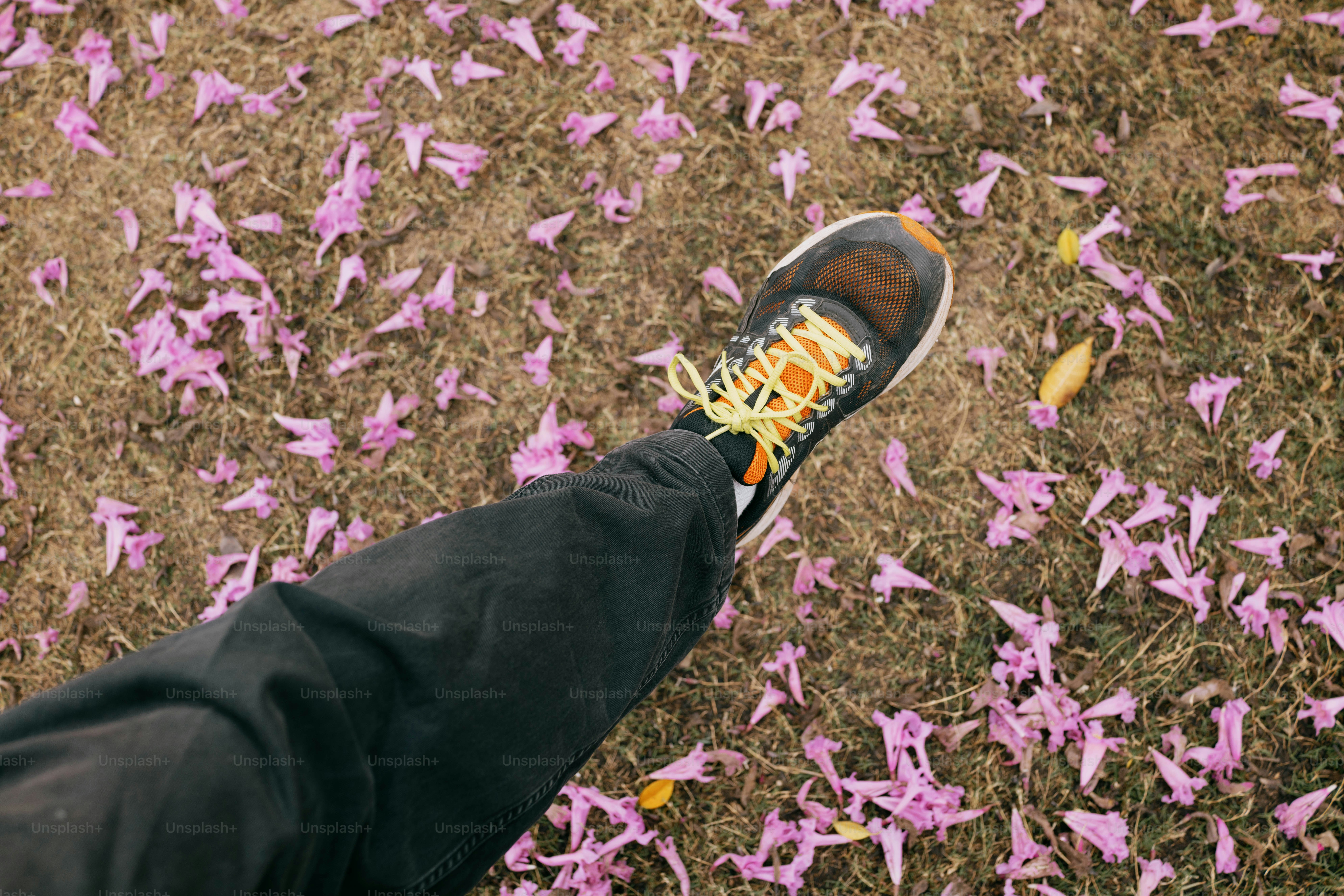 Footsteps walk through purple petals and grass.
