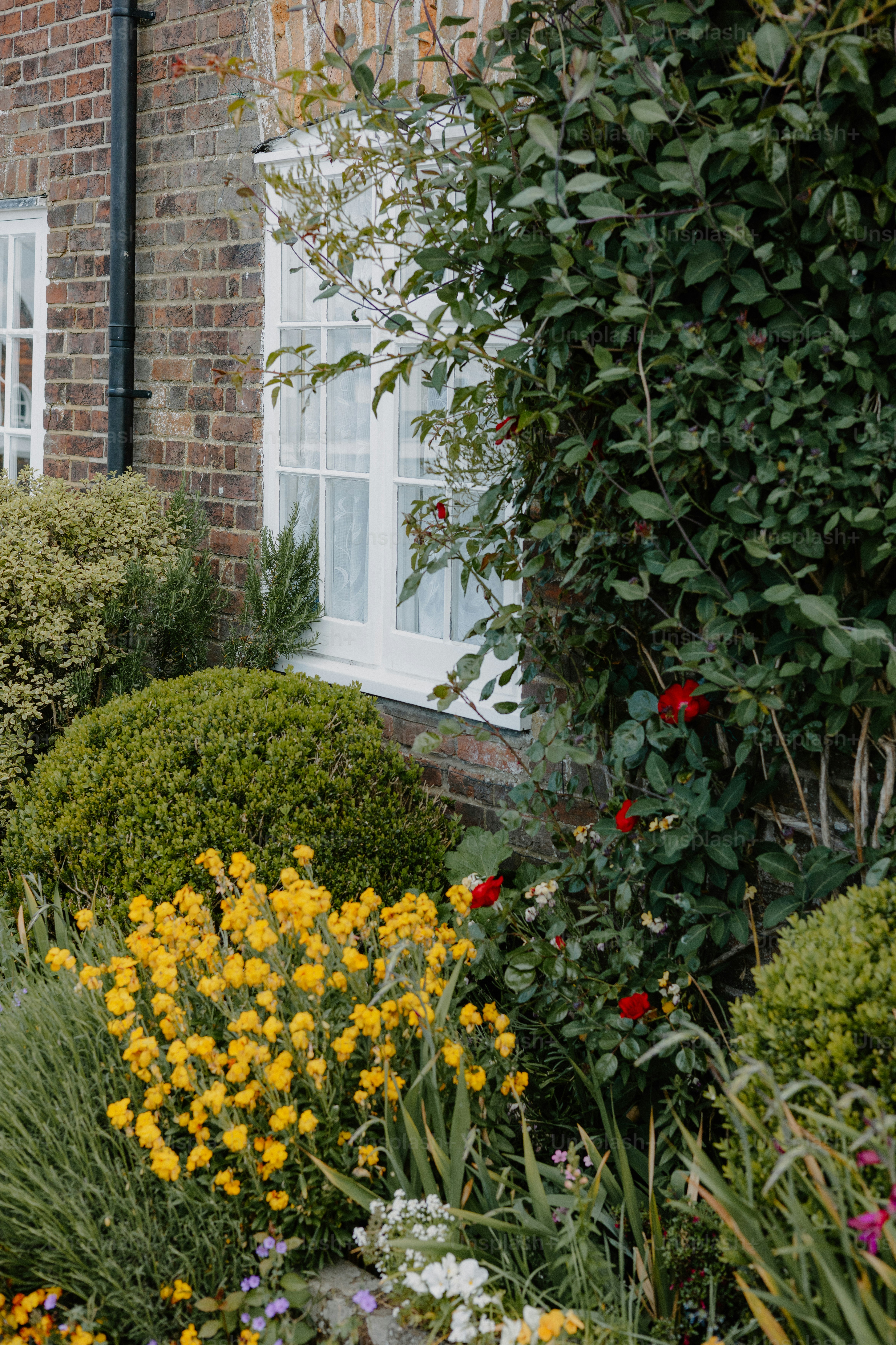 A house exterior is surrounded by lush garden.