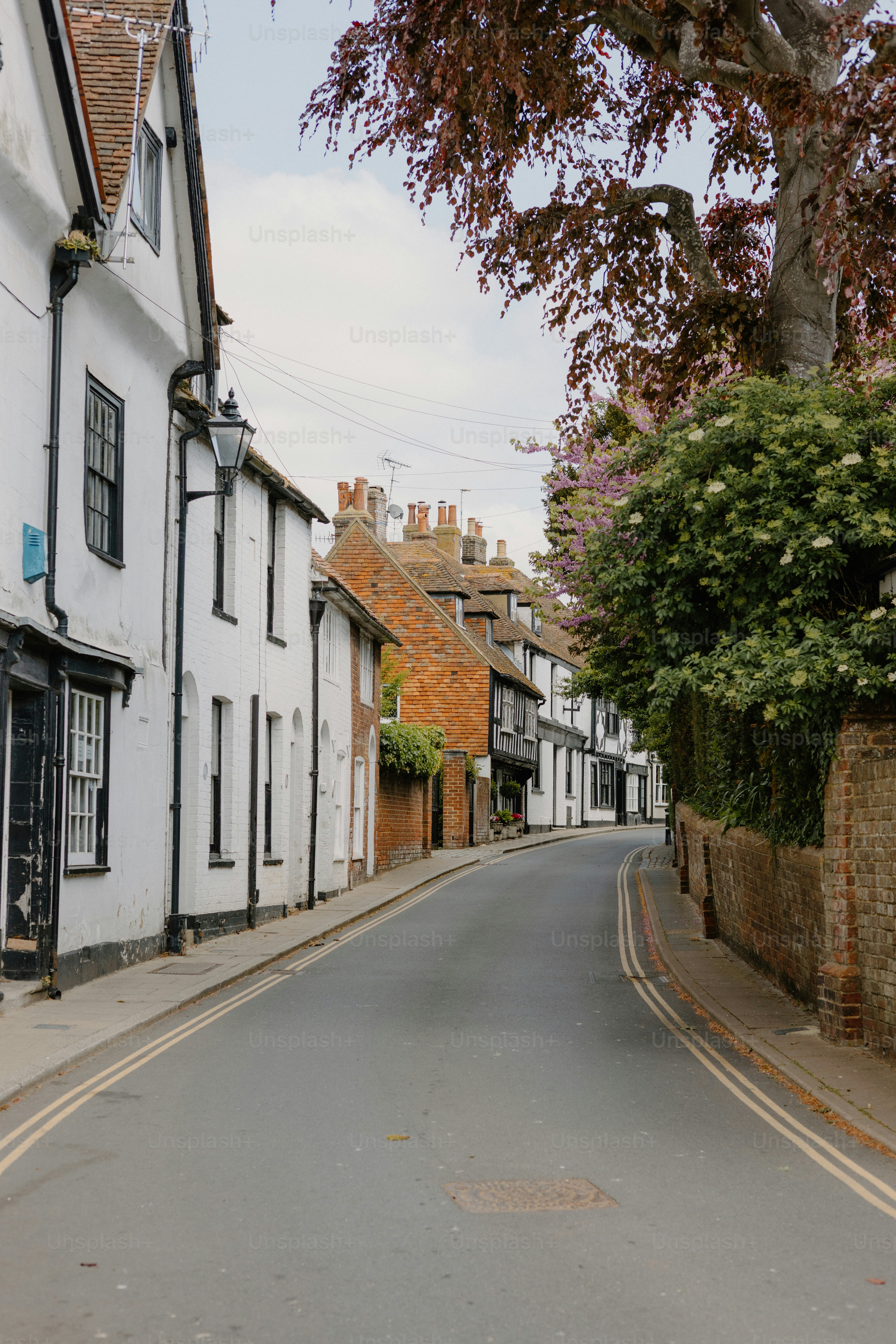 A quaint street with white buildings and trees.