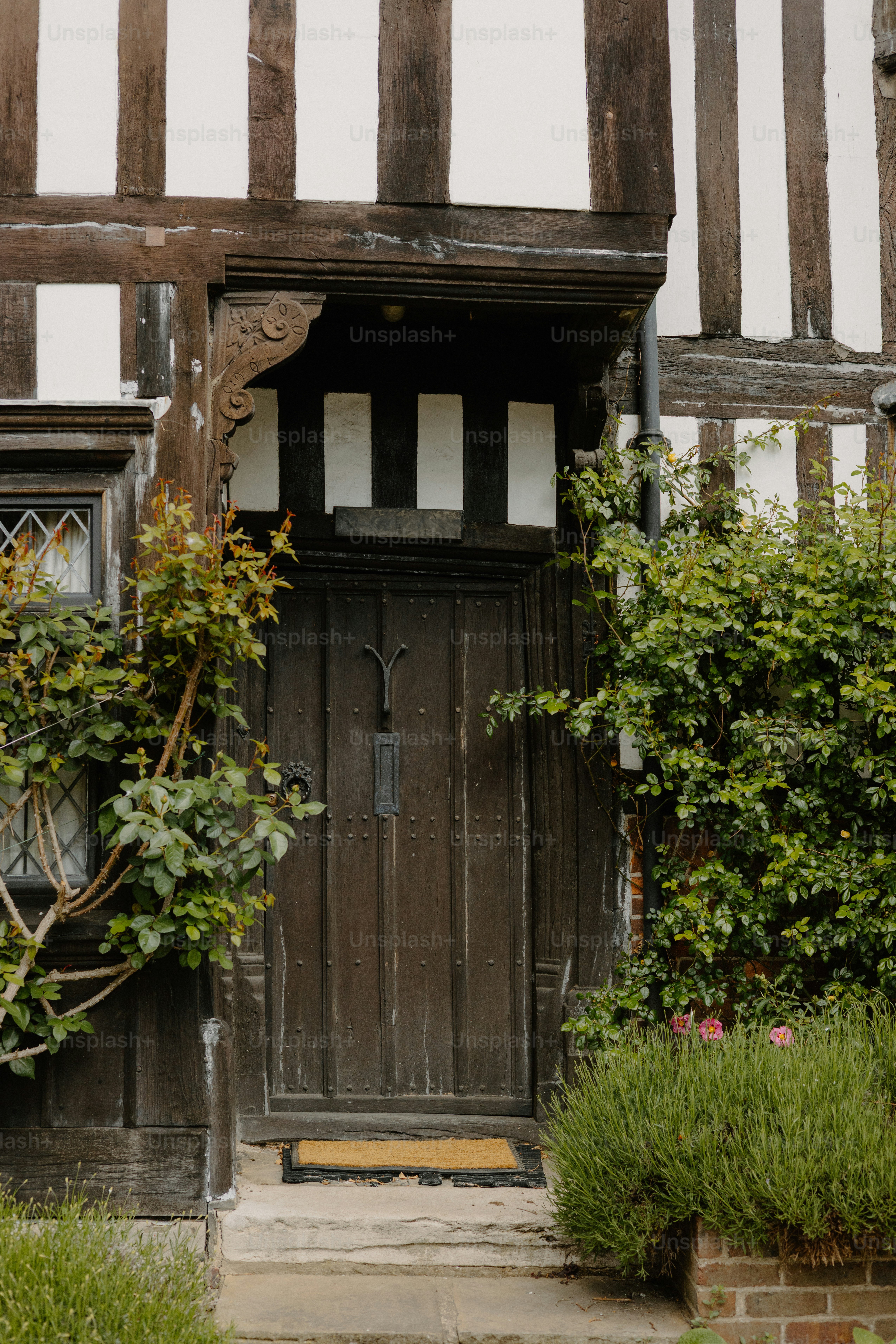 A wooden door with greenery and an old building