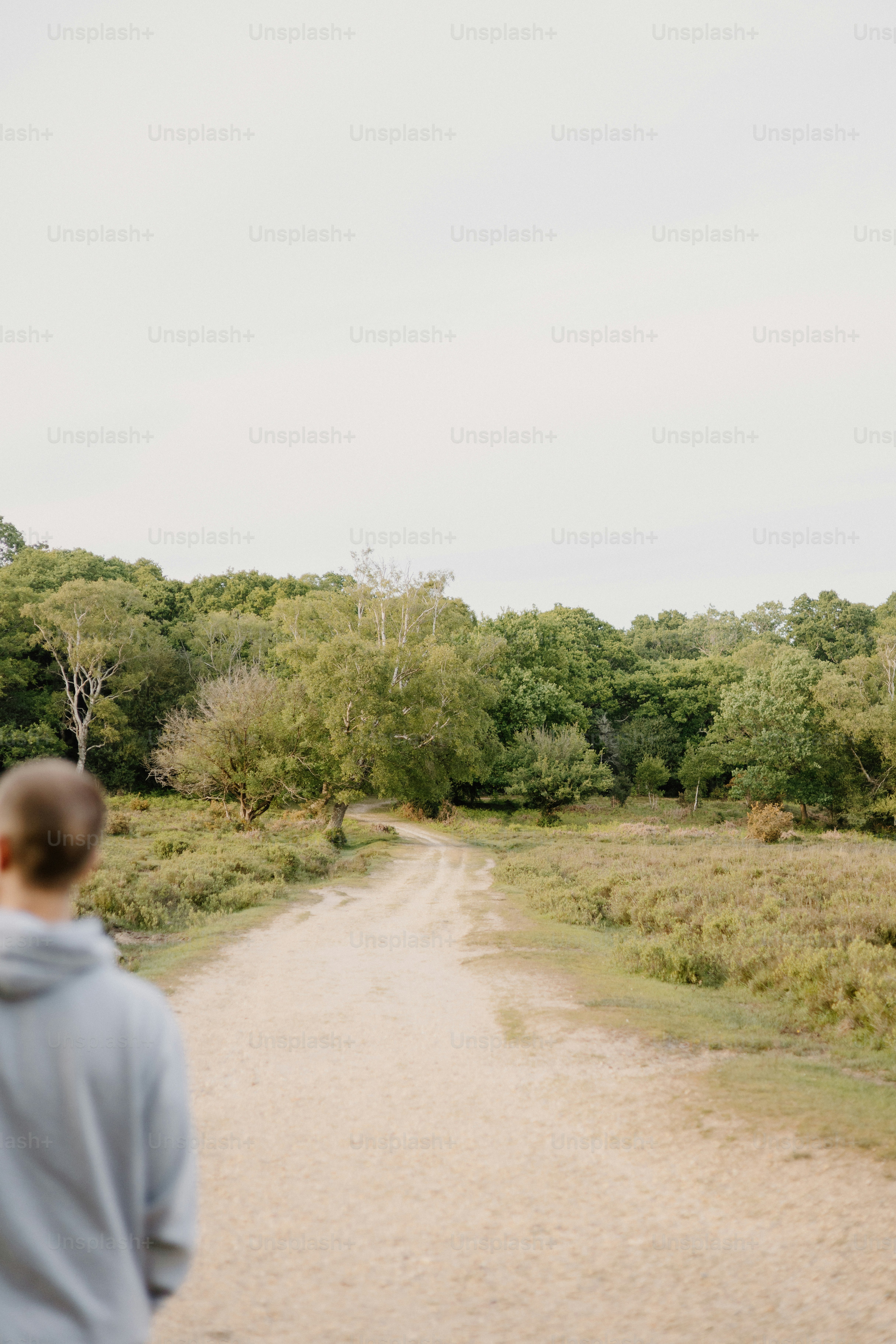 A person walks towards a path in the forest. photo – Man Image on Unsplash