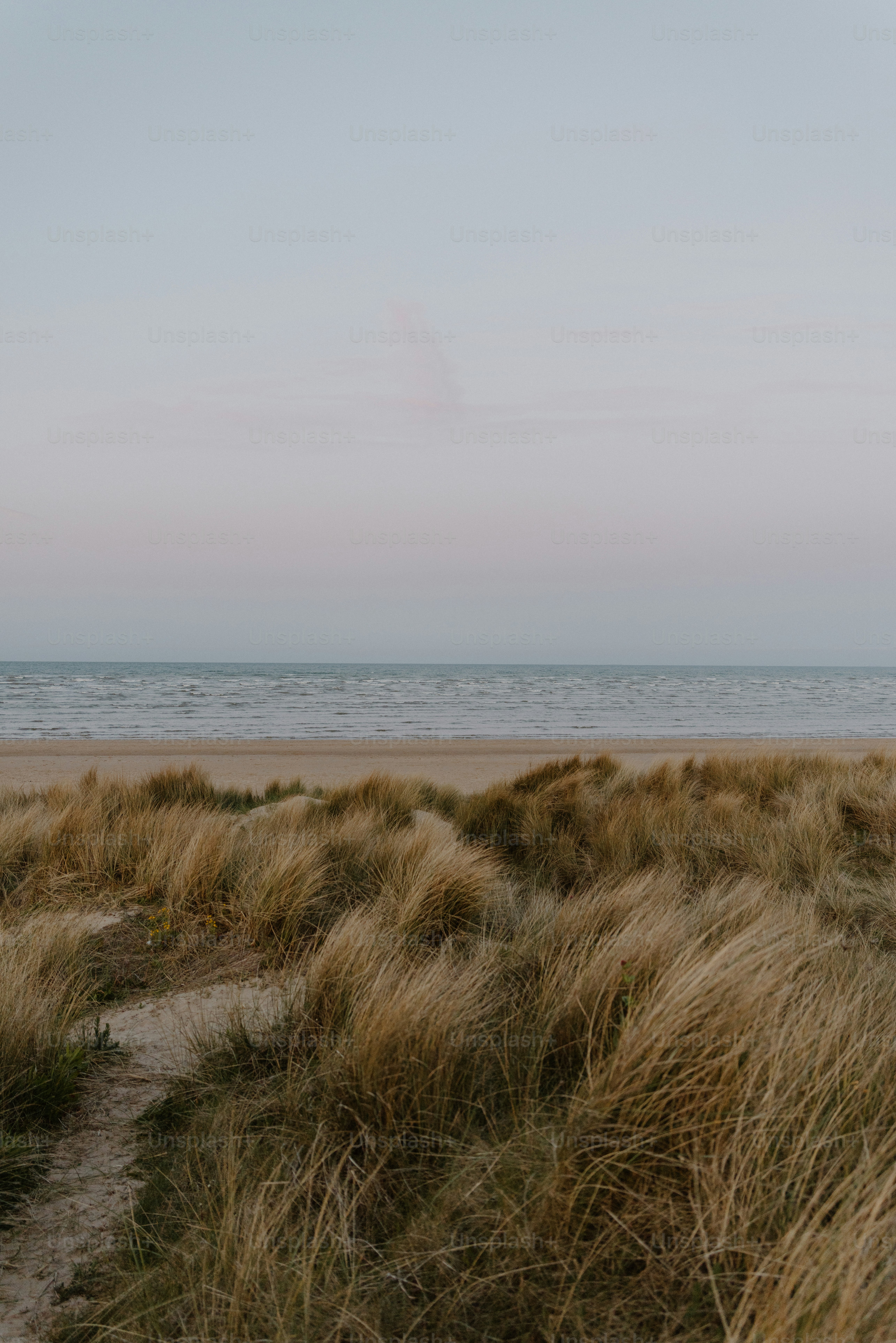 Grassy dunes meet the sea at sunset.
