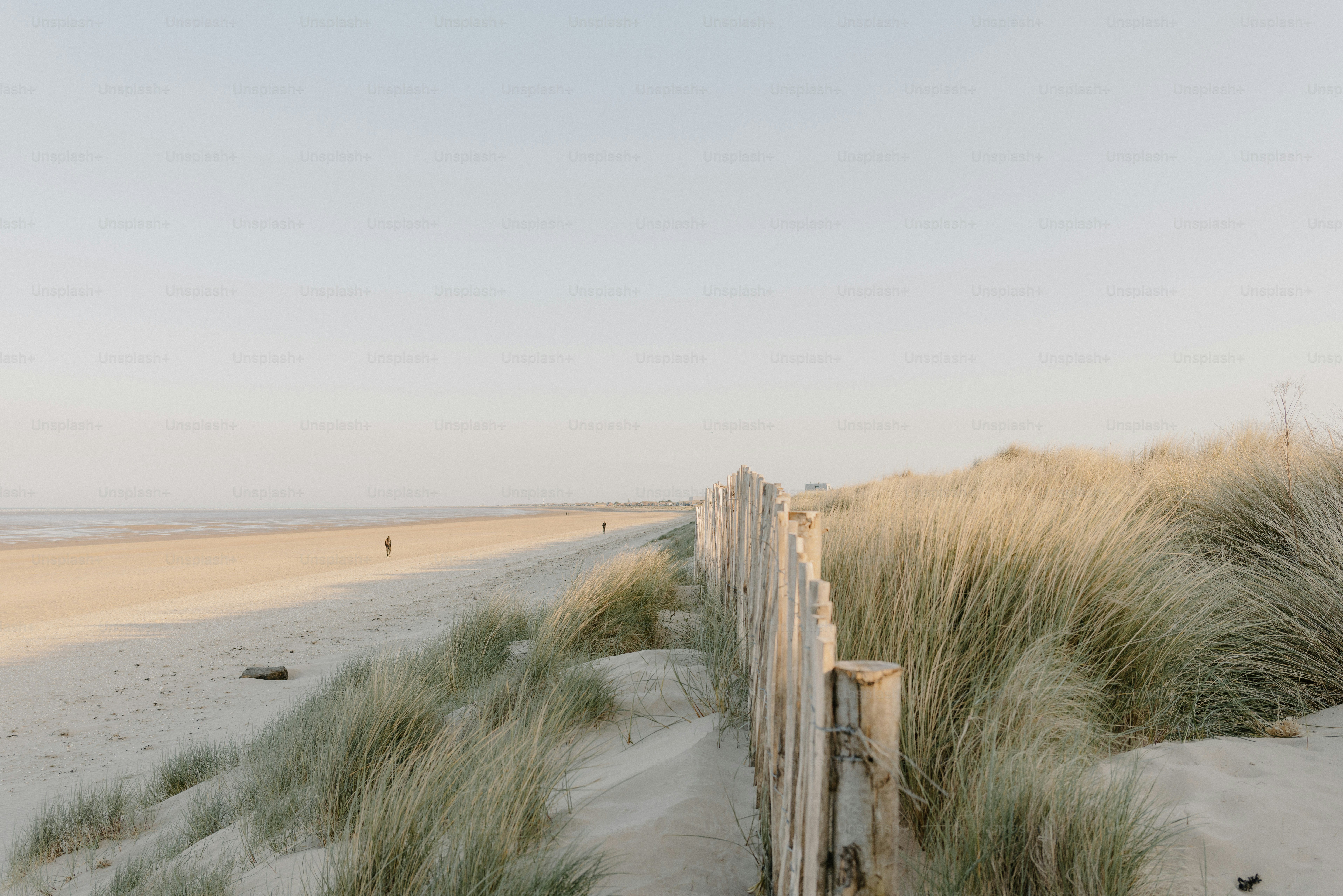 Plage avec des dunes de sable et une clôture en bois.