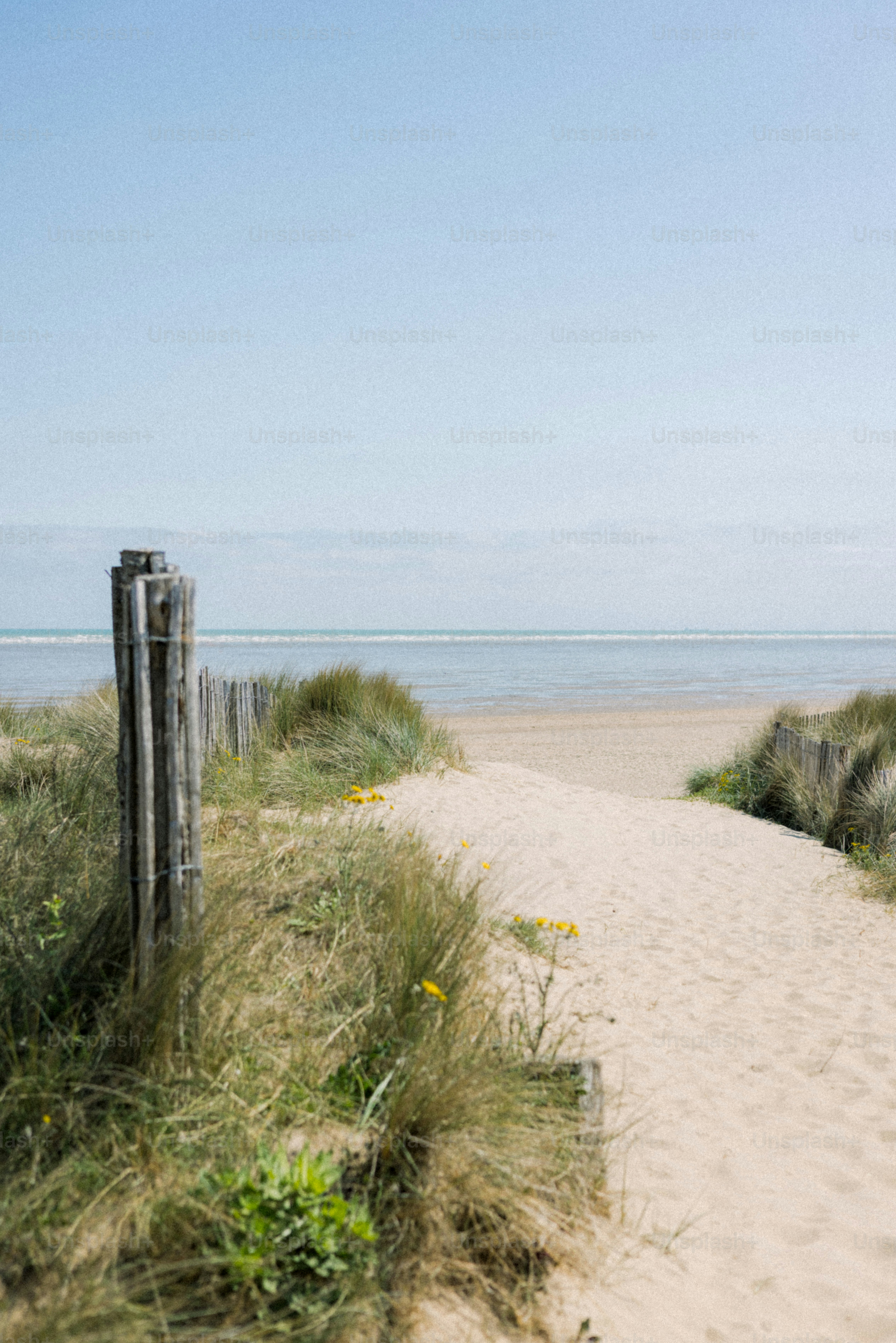 A sandy path leads to the ocean. photo – Summer Image on Unsplash