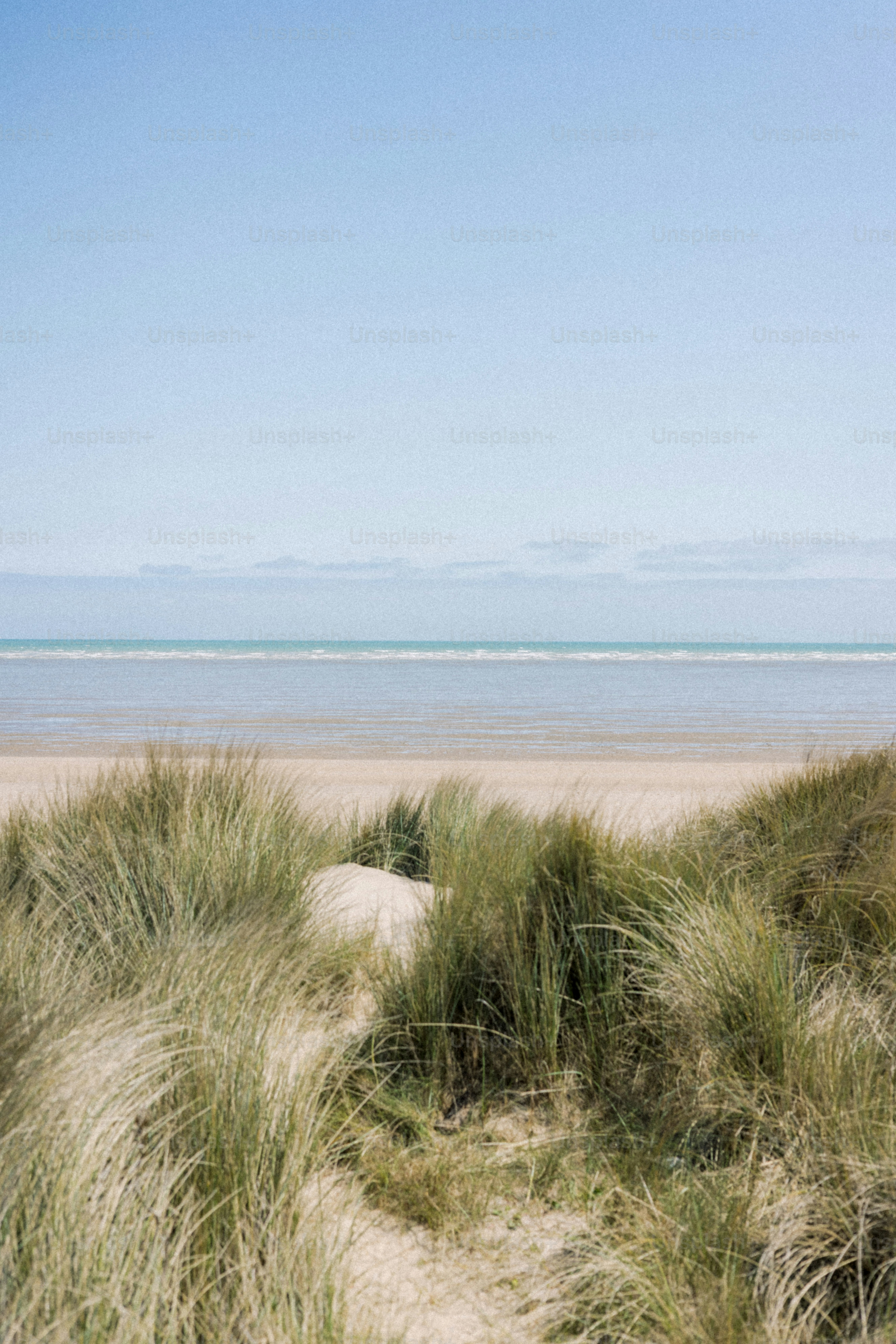Dunes and a beach meet the clear blue sky.