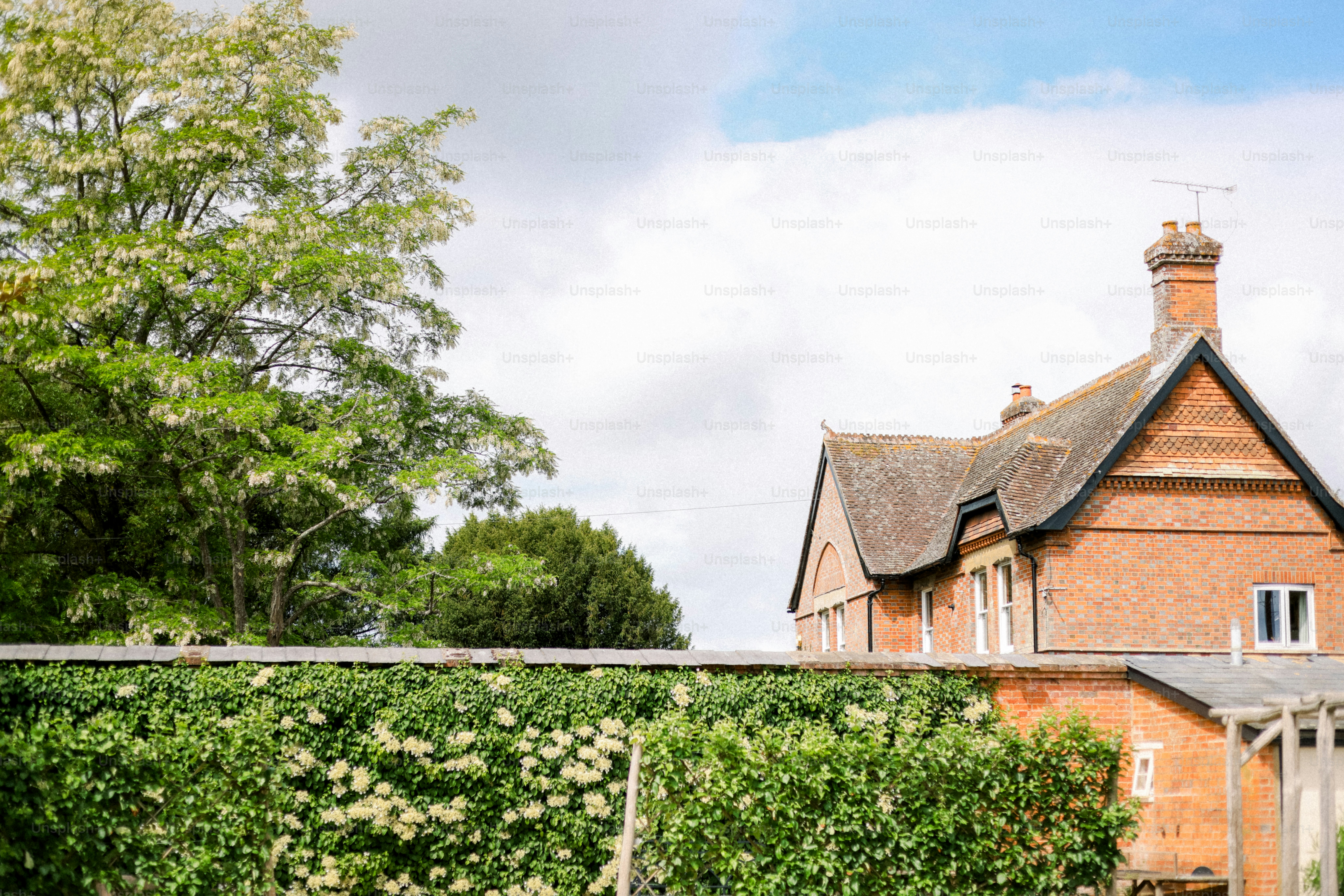 レンガ造りの家が緑の壁の後ろにあります。