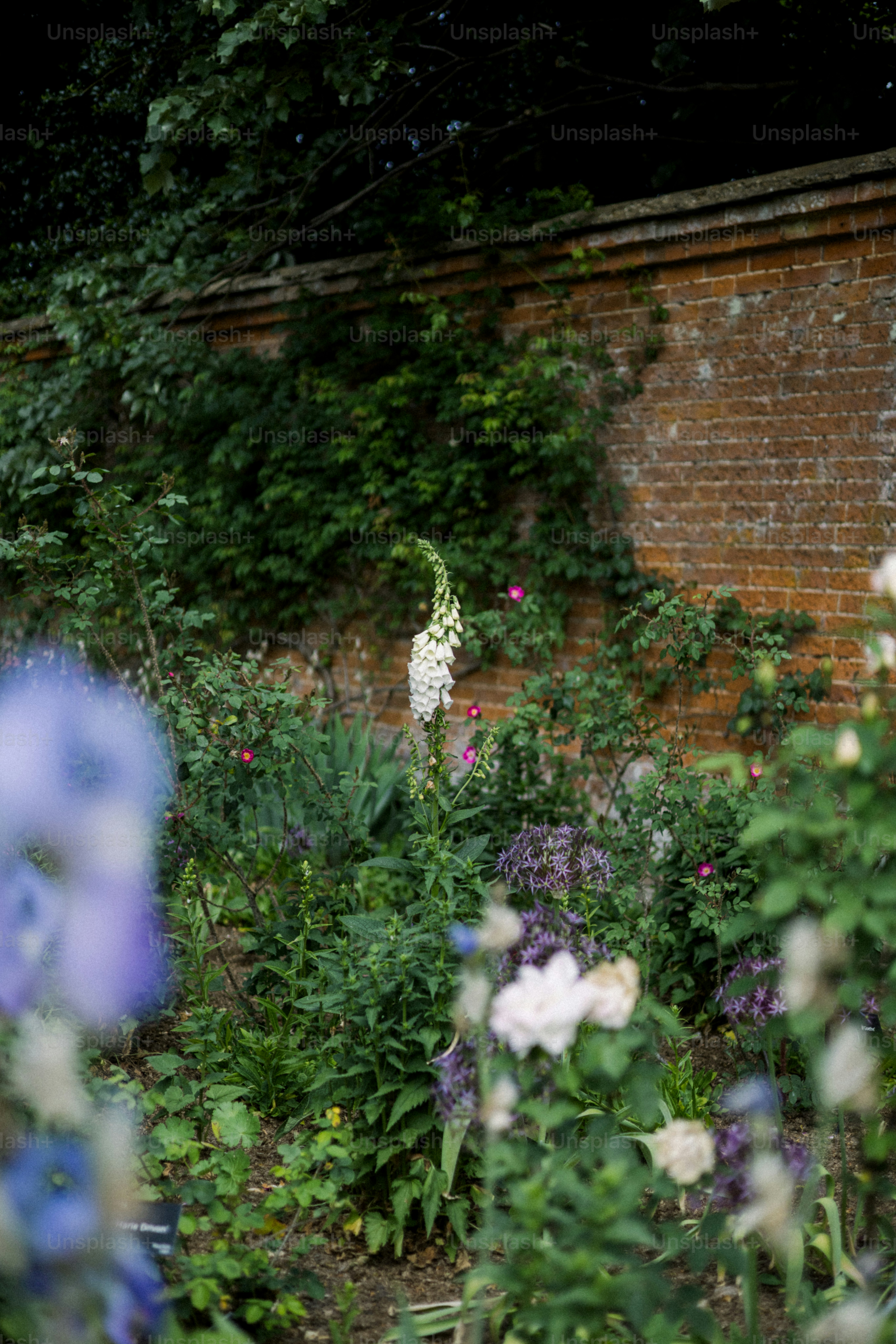 A garden with flowers and brick wall.