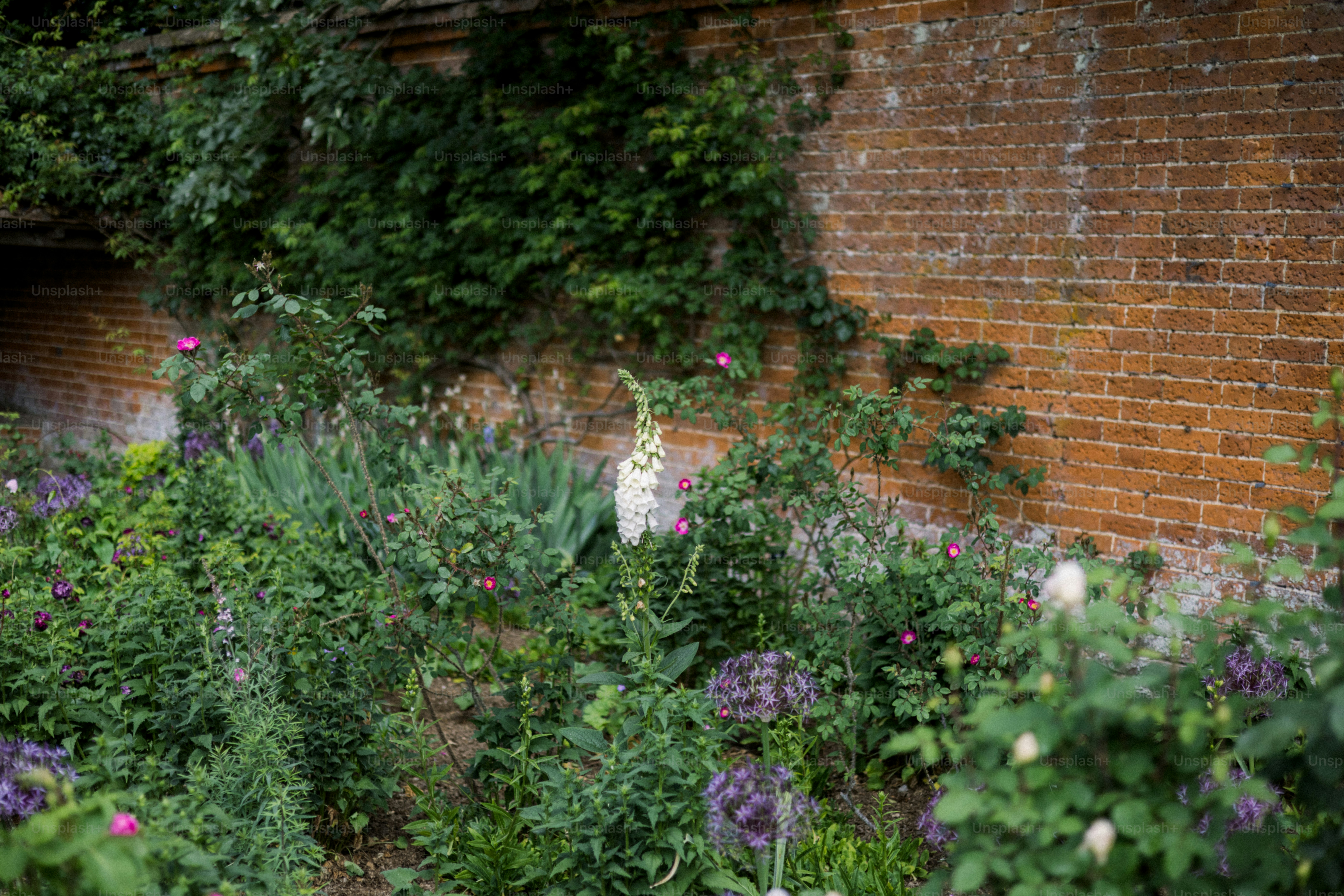 A lush garden grows beside a brick wall.