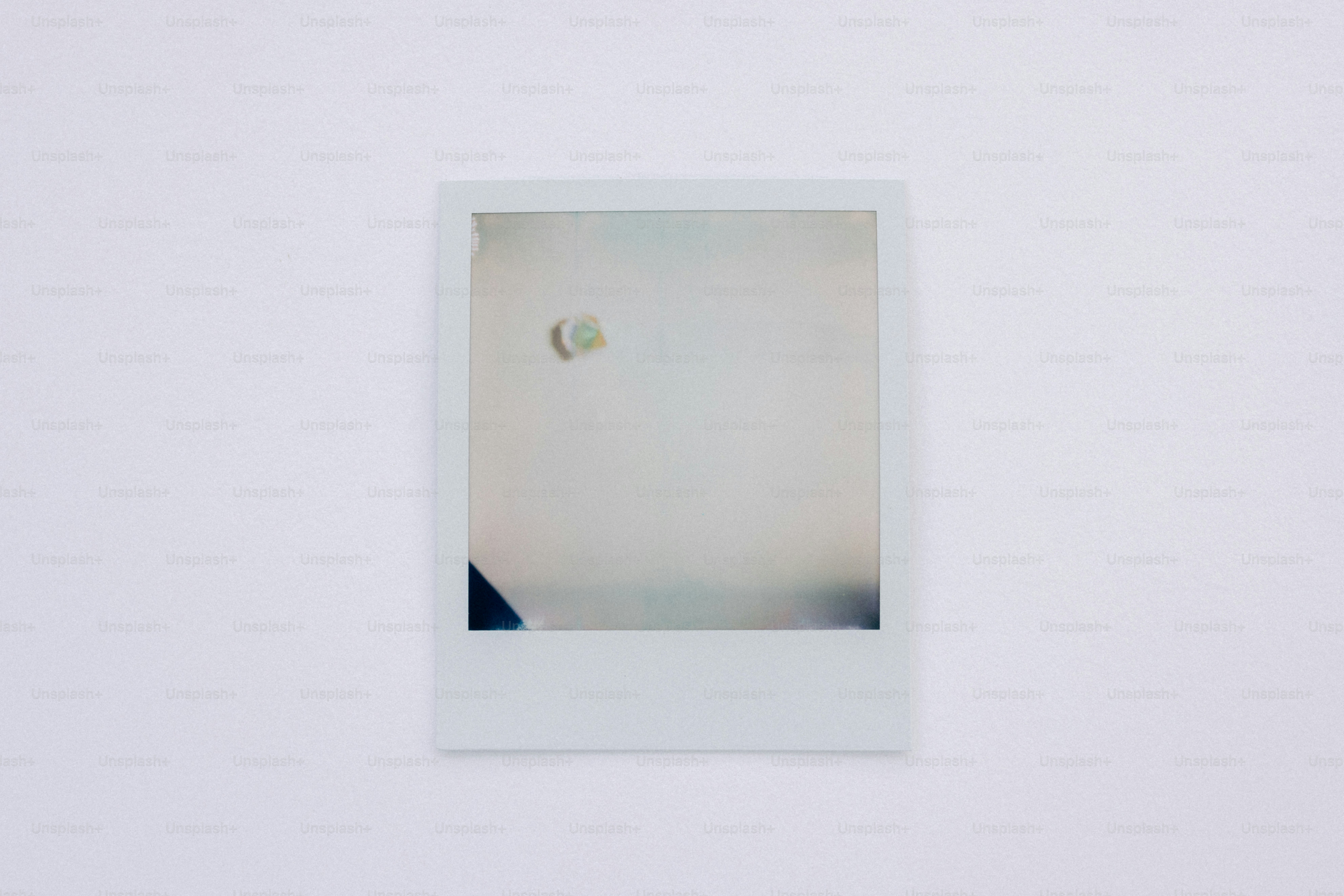 Polaroid Câmera B\u0026W SX-70 Film 8 Instant Photos Cinzento| Dressinn  Fotografia-Vídeo, image size:3000x2000